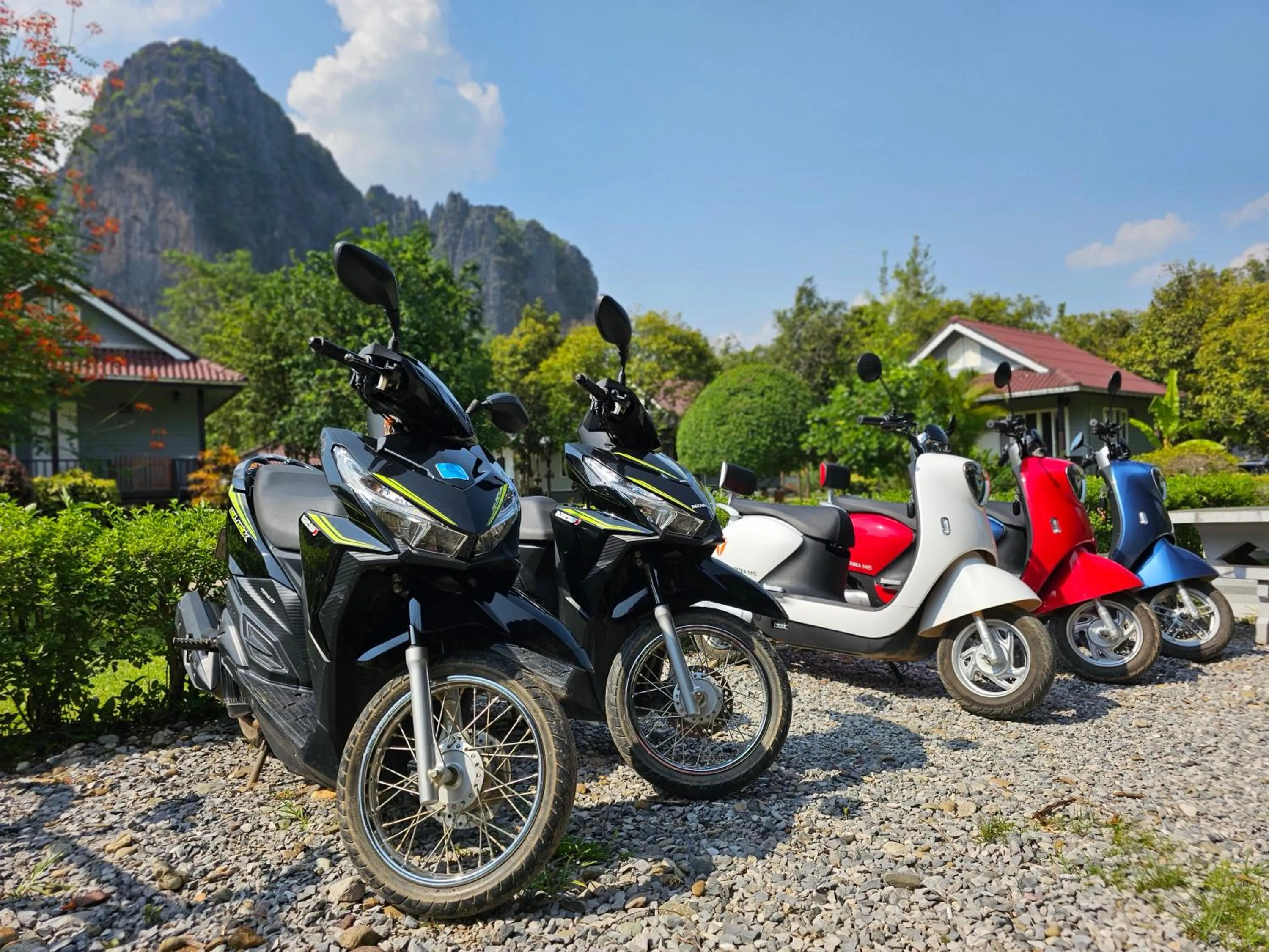 Patio in Bearlinbungalow