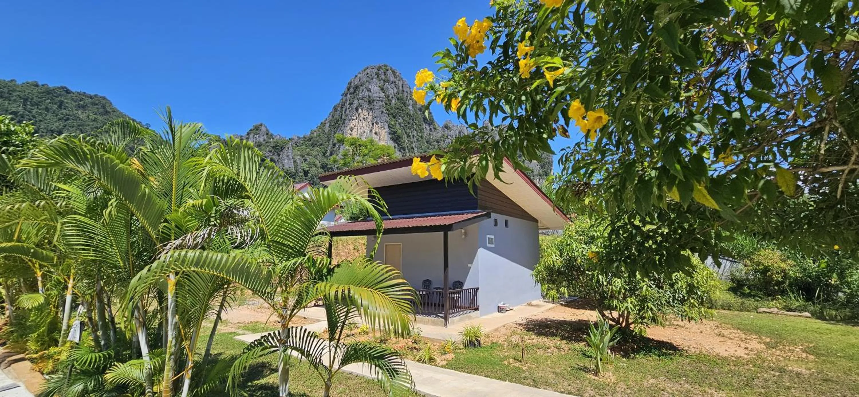 Mountain view in Bearlinbungalow