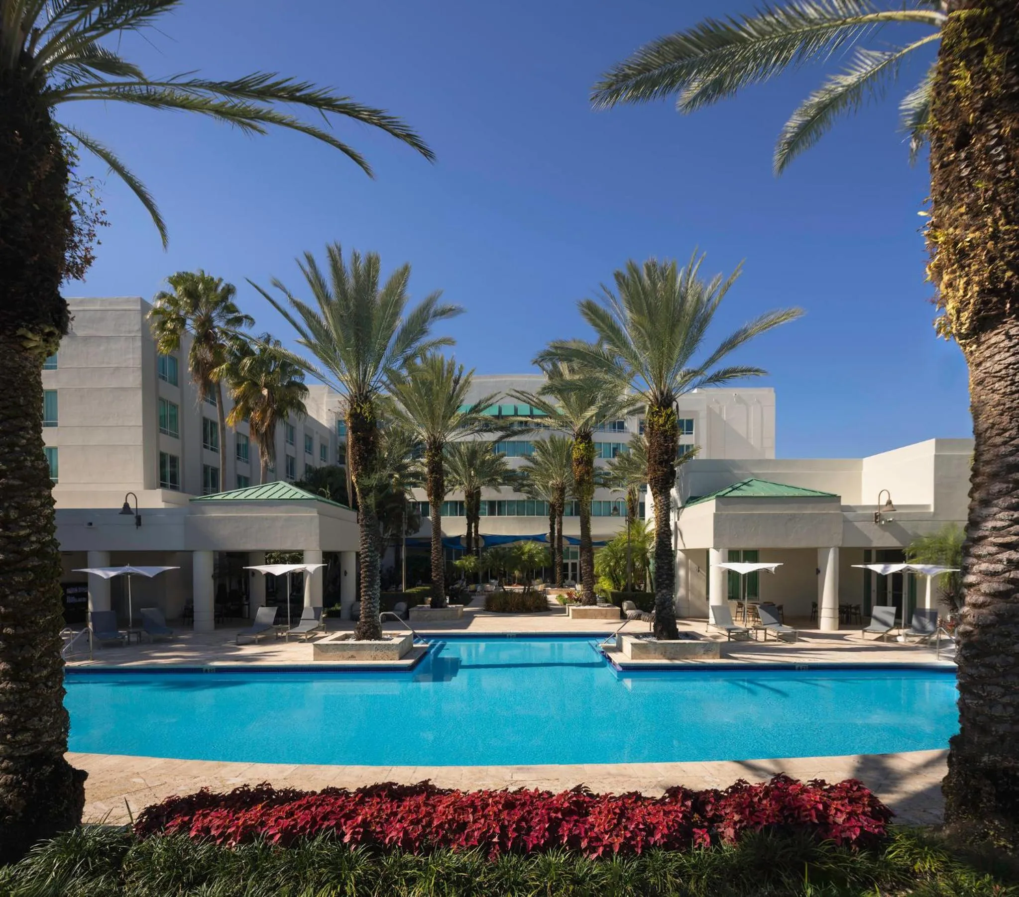 Swimming pool in InterContinental At Doral Miami by IHG