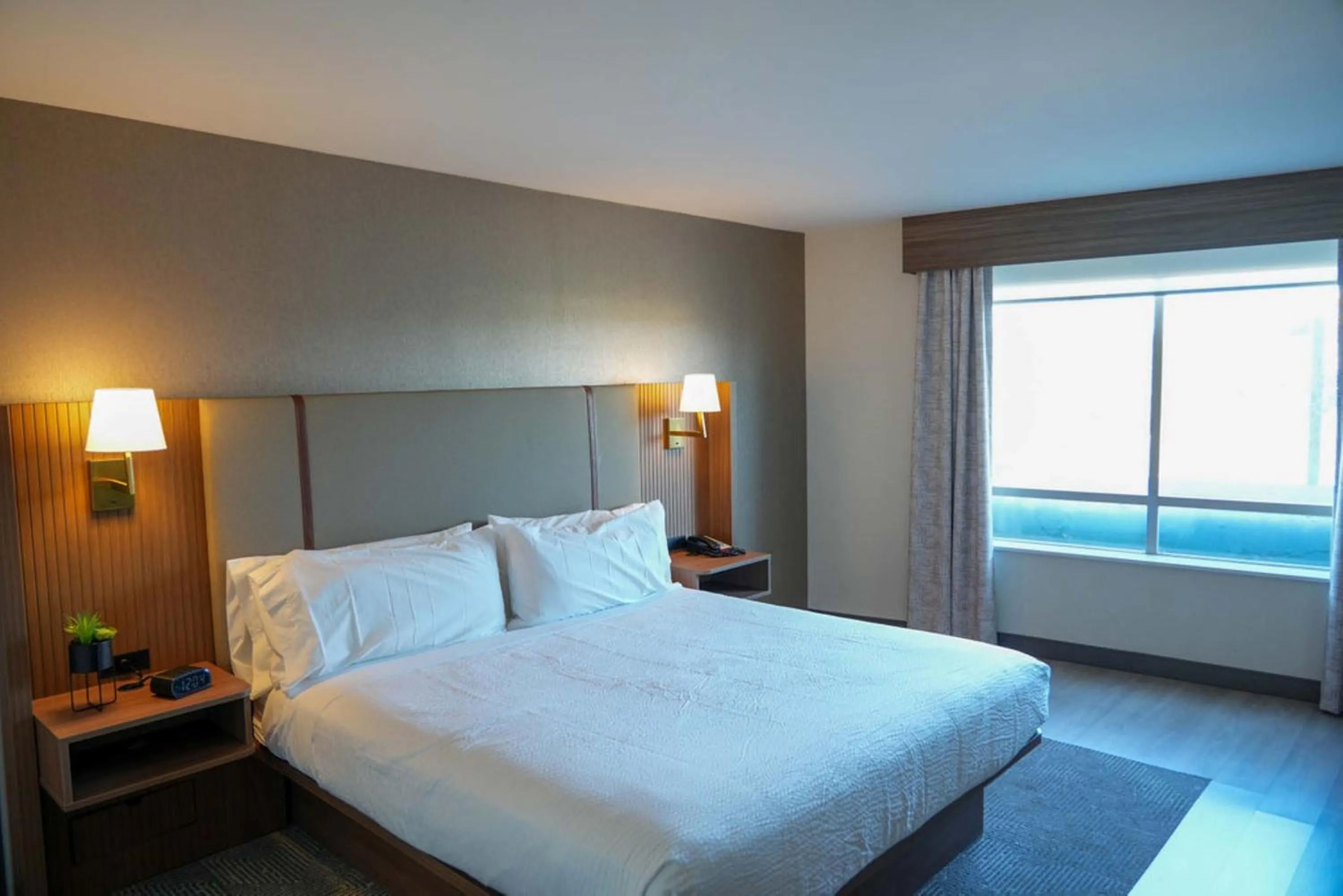 Photo of the whole room, Bed in Holiday Inn & Suites Phoenix Airport by IHG