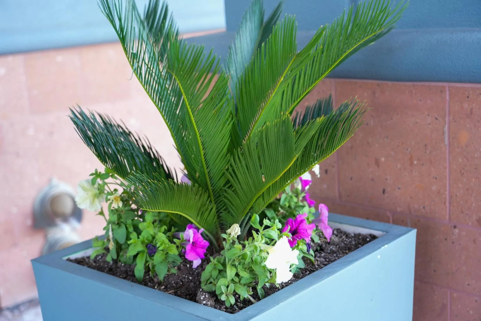 Property building in Holiday Inn & Suites Phoenix Airport by IHG