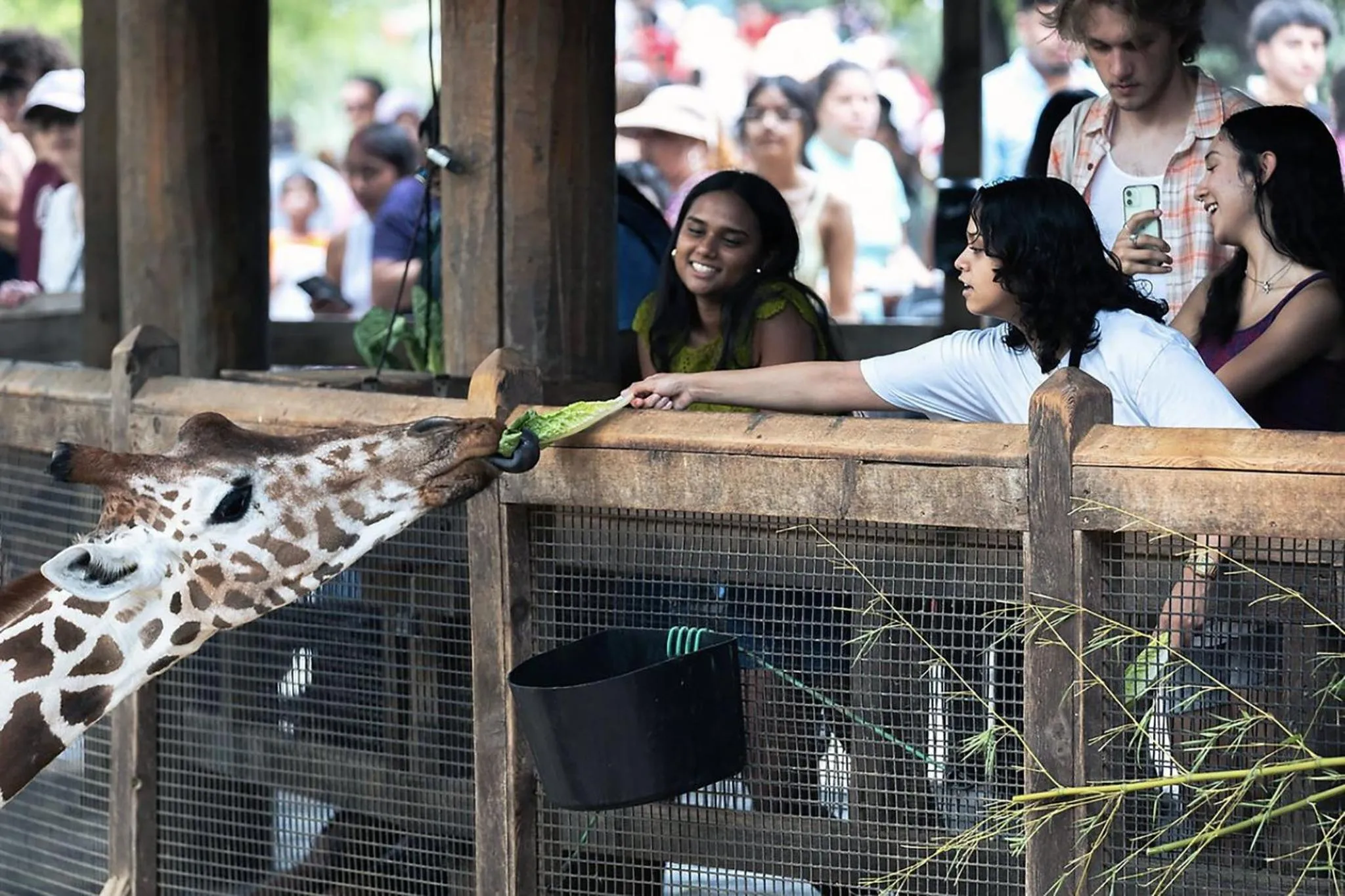 Nearby landmark in Crowne Plaza Dallas Downtown by IHG