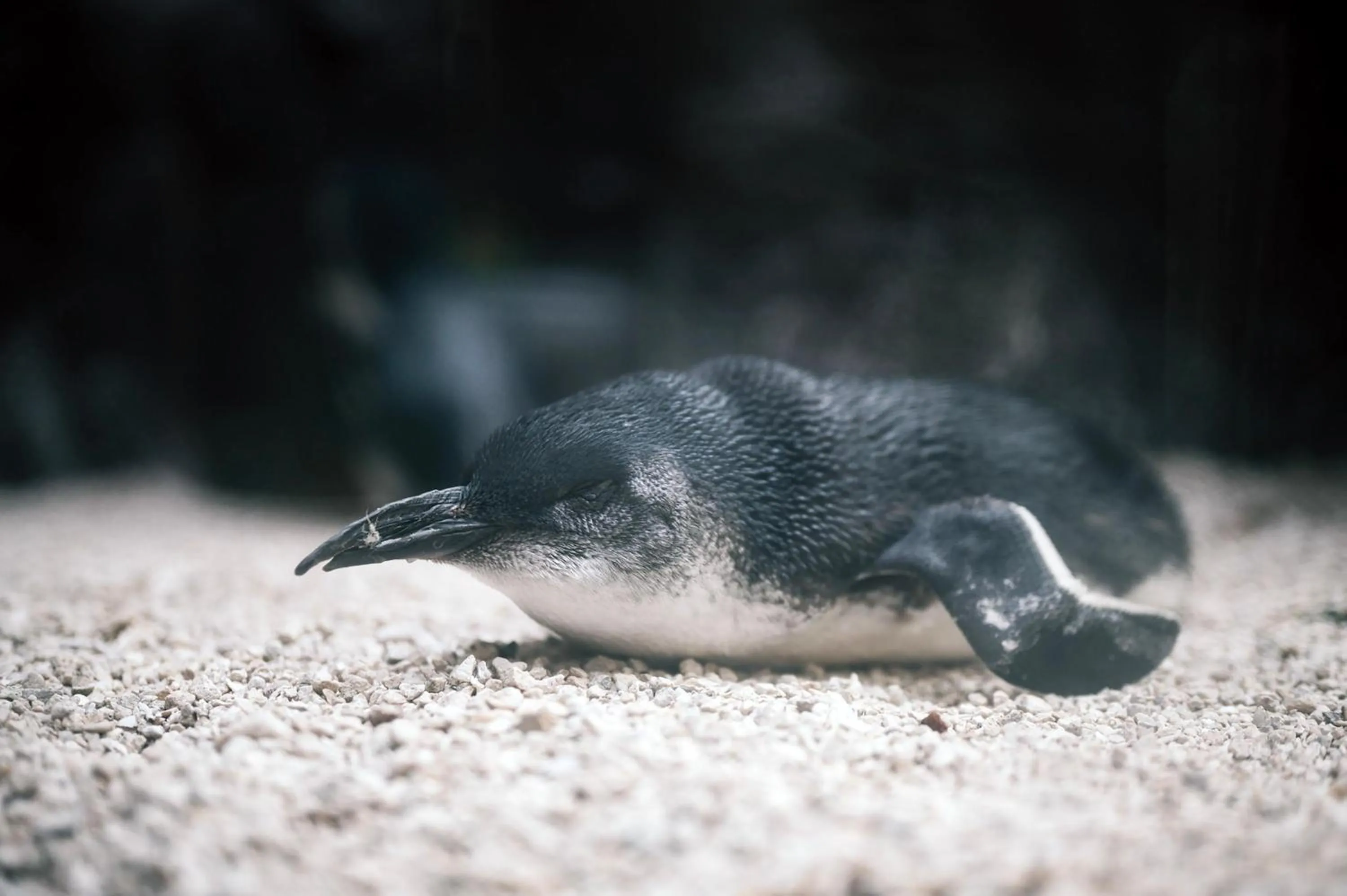 Nearby landmark in Crowne Plaza Dallas Downtown by IHG