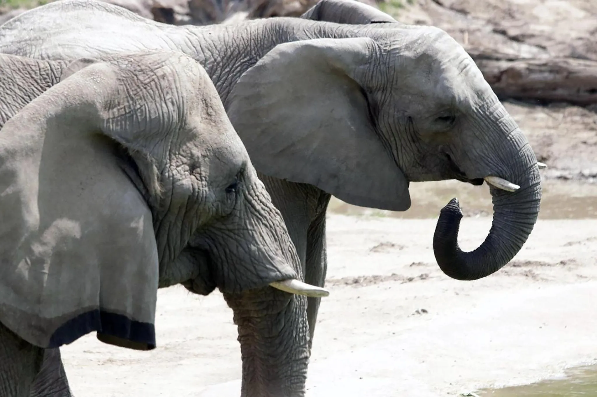 Nearby landmark in Crowne Plaza Dallas Downtown by IHG