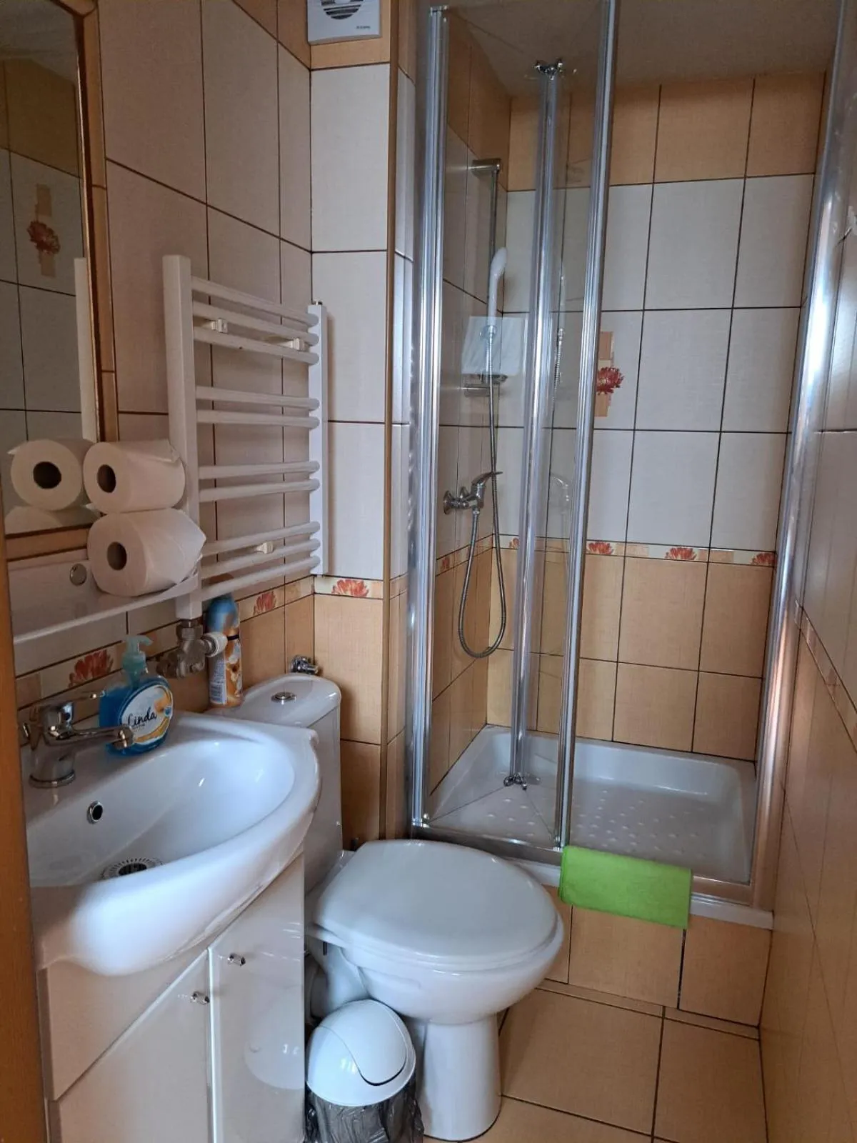 Shower in Willa Majerczyk