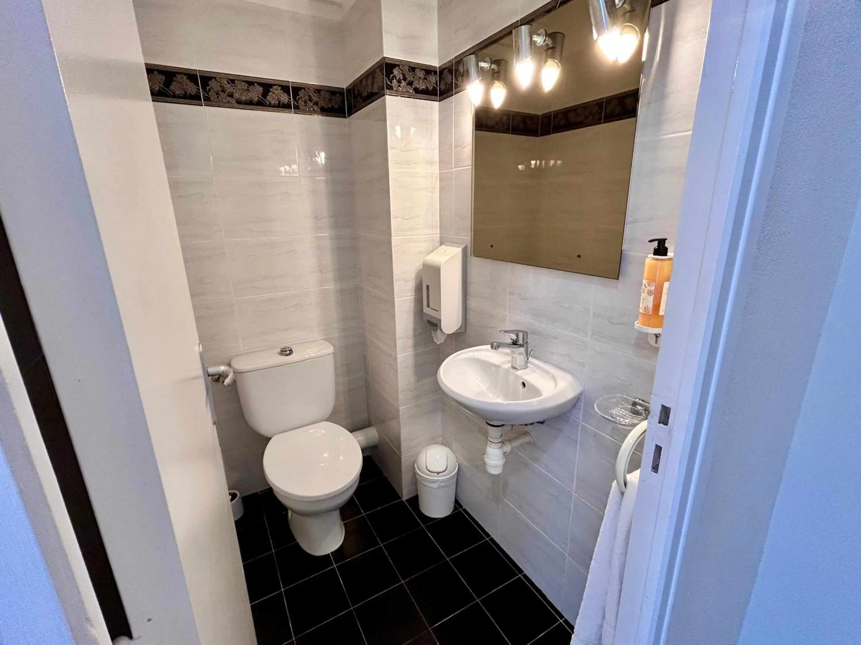 Toilet in Hôtel La Pinède