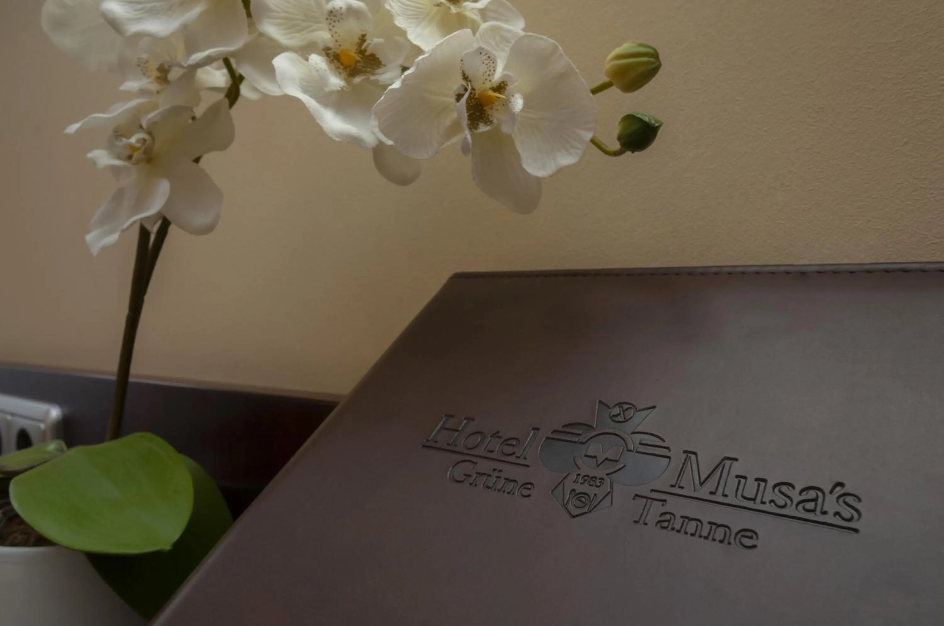 Decorative detail in Hotel Grüne Tanne