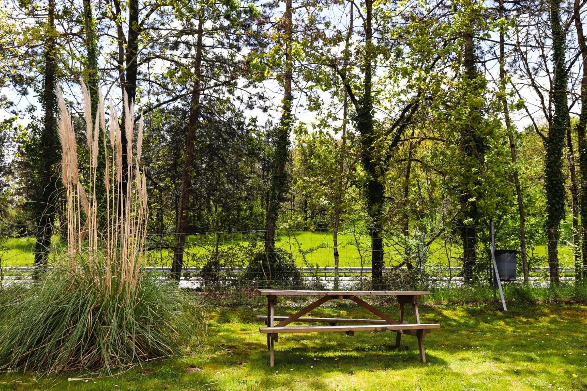 Garden in Hoteleco Sud Agen Autoroute