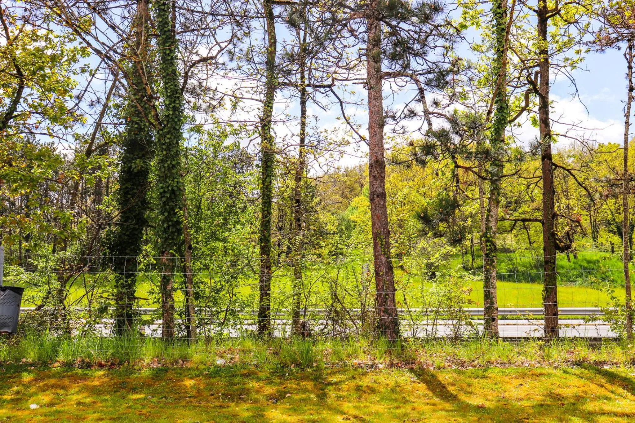 Garden in Hoteleco Sud Agen Autoroute