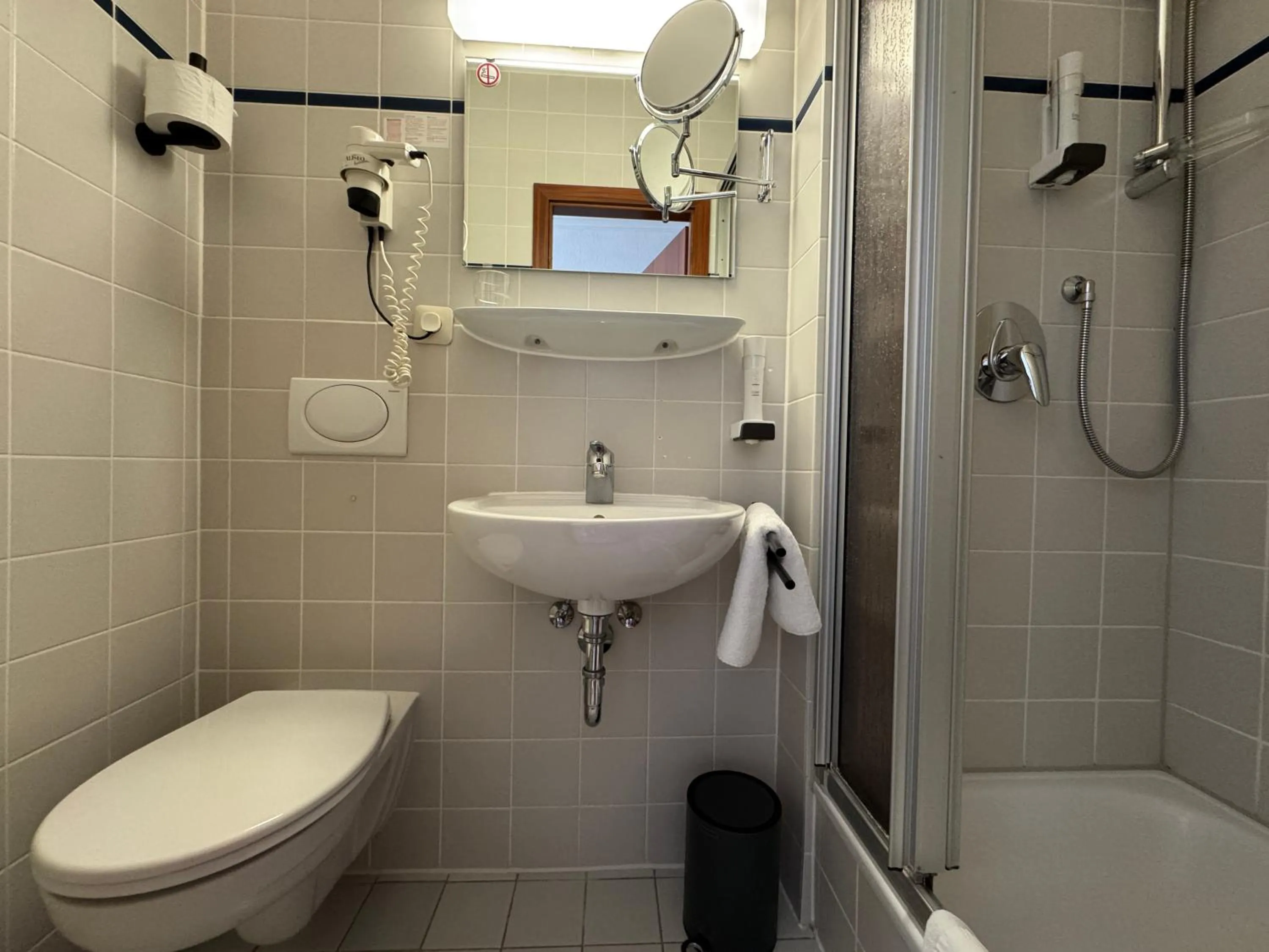 Toilet in Hotel Goldener Hirsch