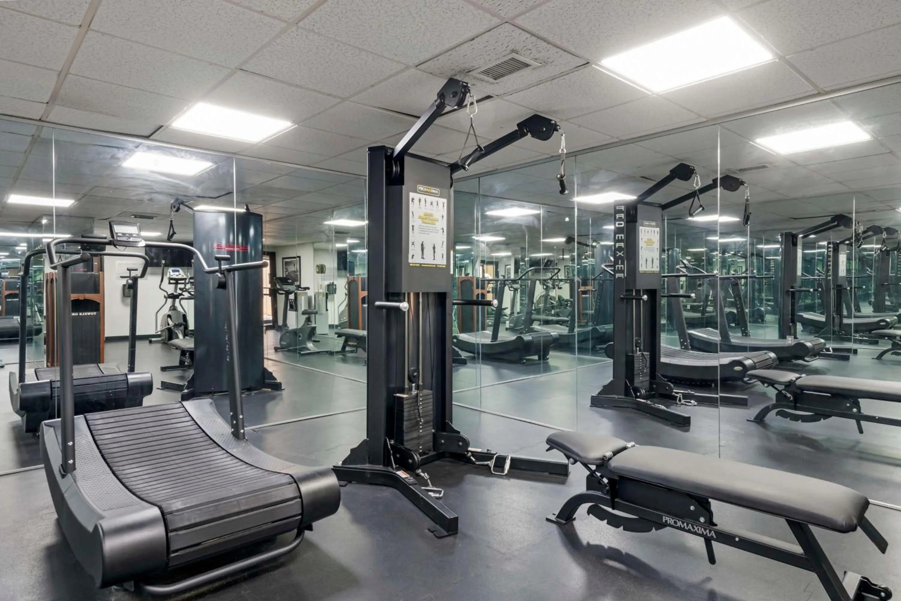 Fitness centre/facilities in Best Western International Speedway Hotel