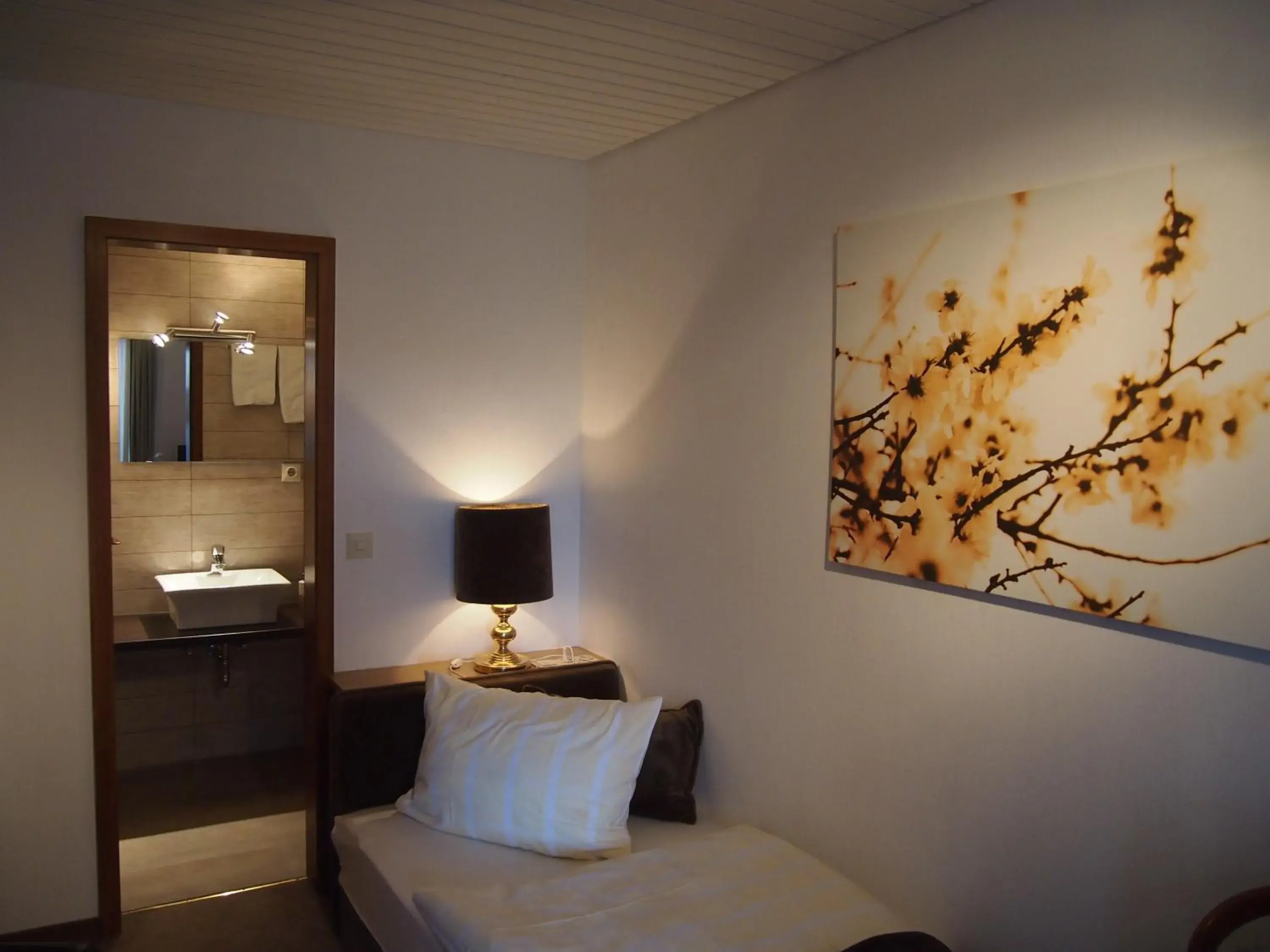 Comfort Single Room in Berghotel Wintersberg Comfort Single Room in Berghotel Wintersberg