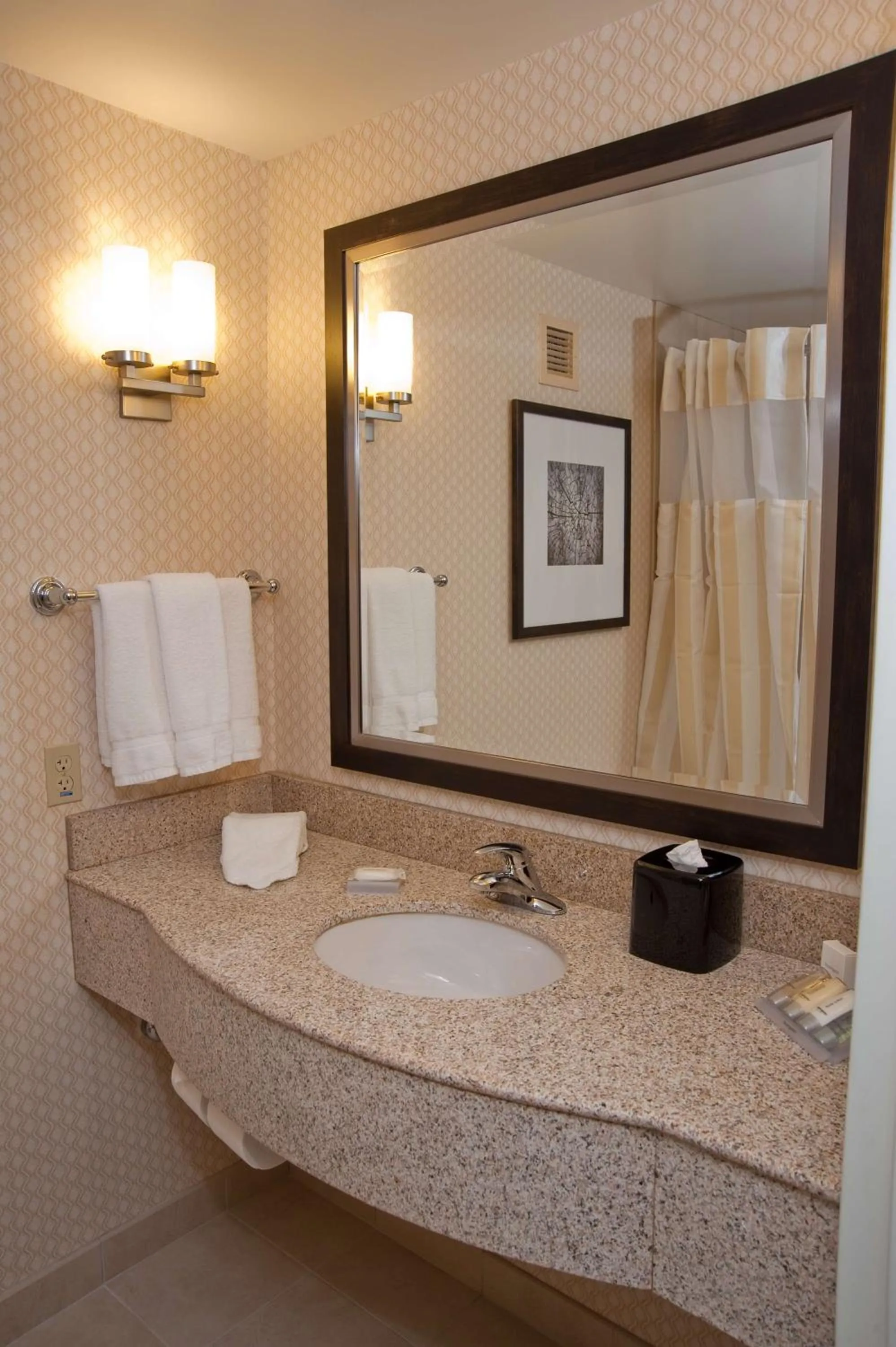 Bathroom in Hilton Garden Inn St. Louis Airport