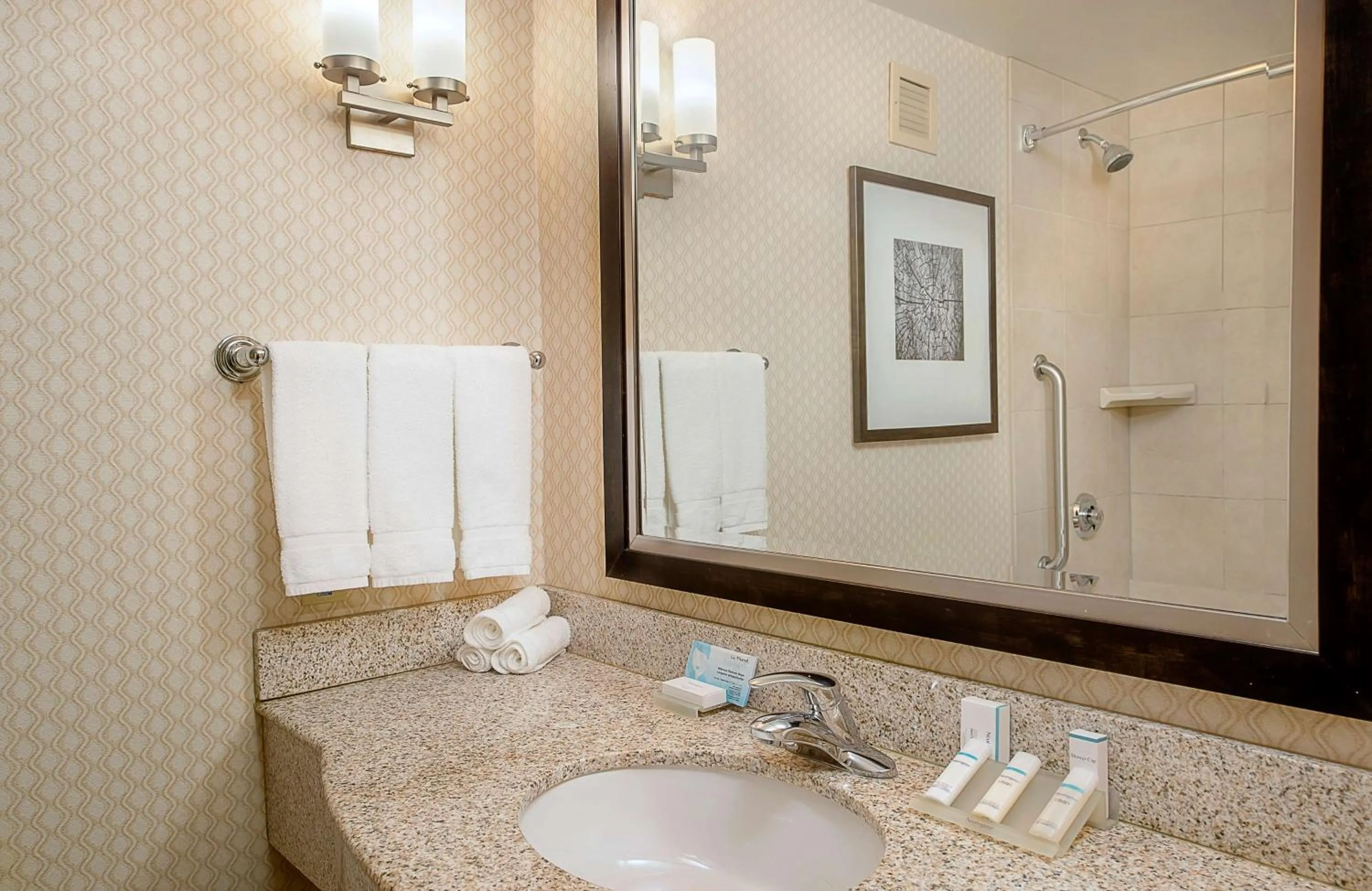 Bathroom in Hilton Garden Inn St. Louis Airport