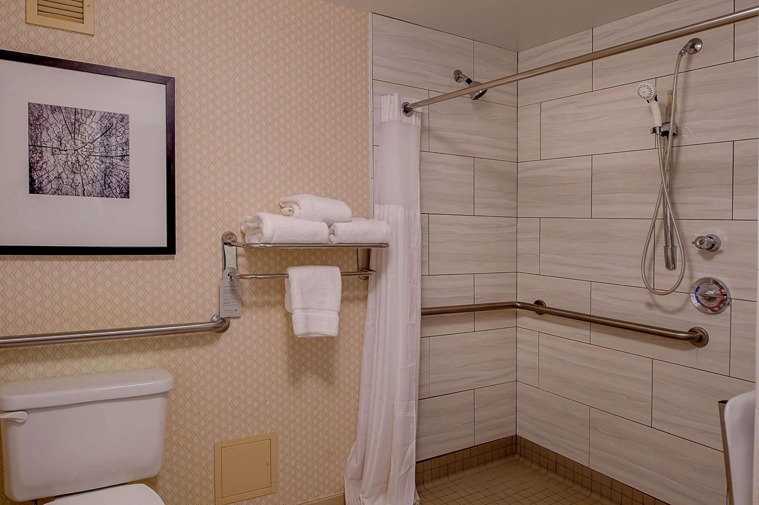 Bathroom in Hilton Garden Inn St. Louis Airport