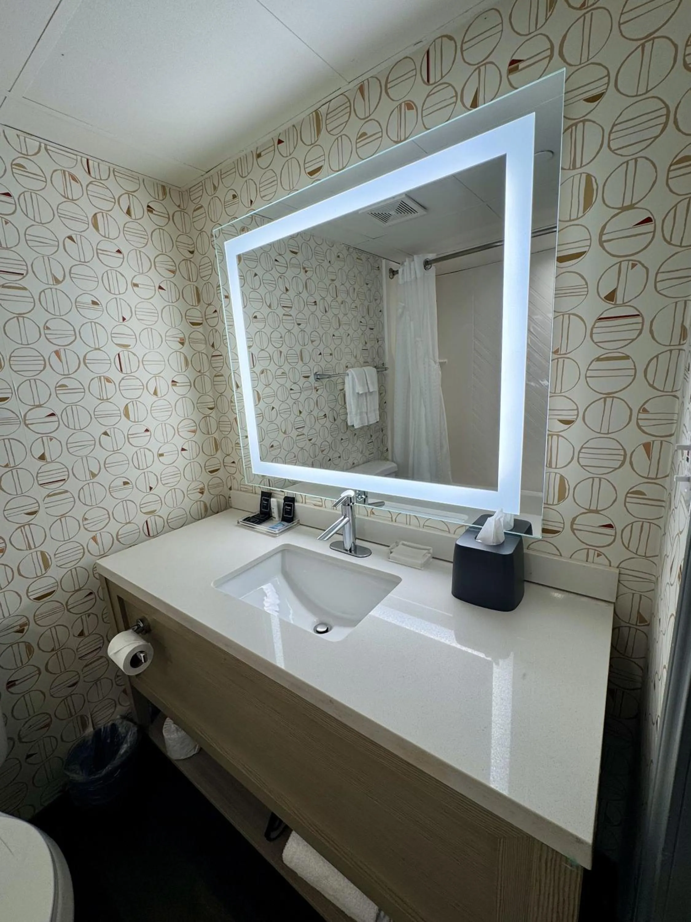 Bathroom in Wyndham Houston Hobby Airport