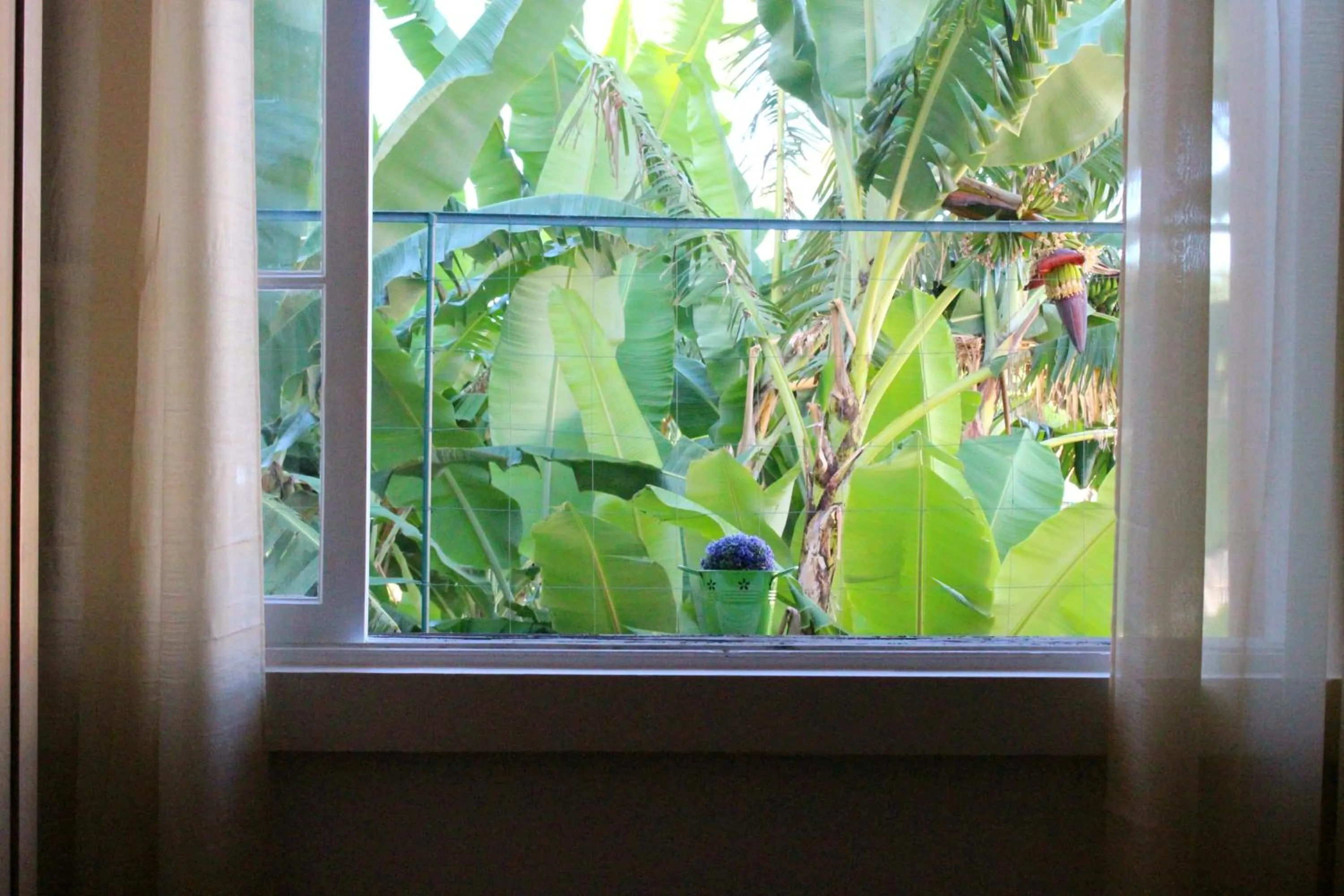 Photo of the whole room in FX Pena