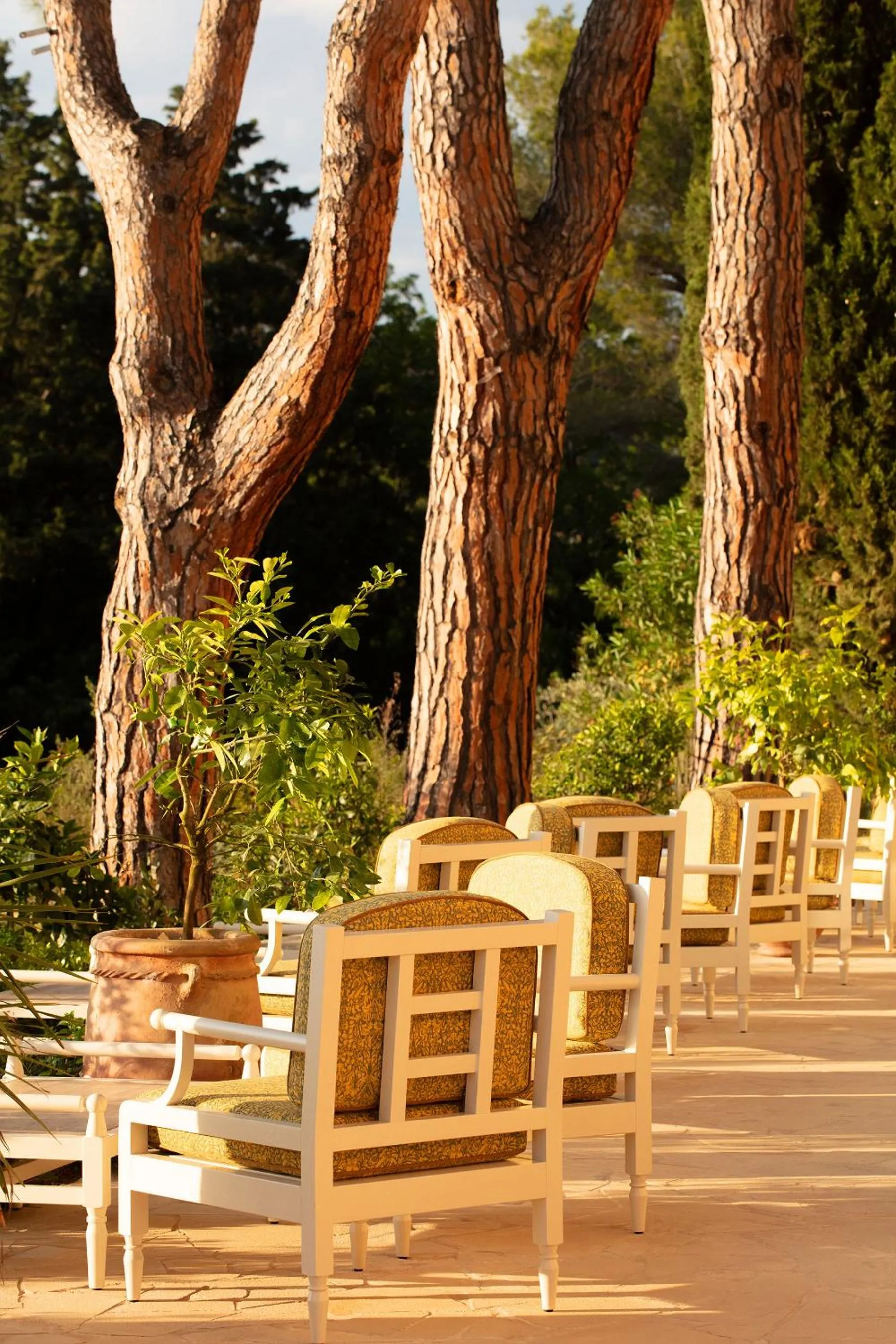 Natural landscape in Le Mas Candille