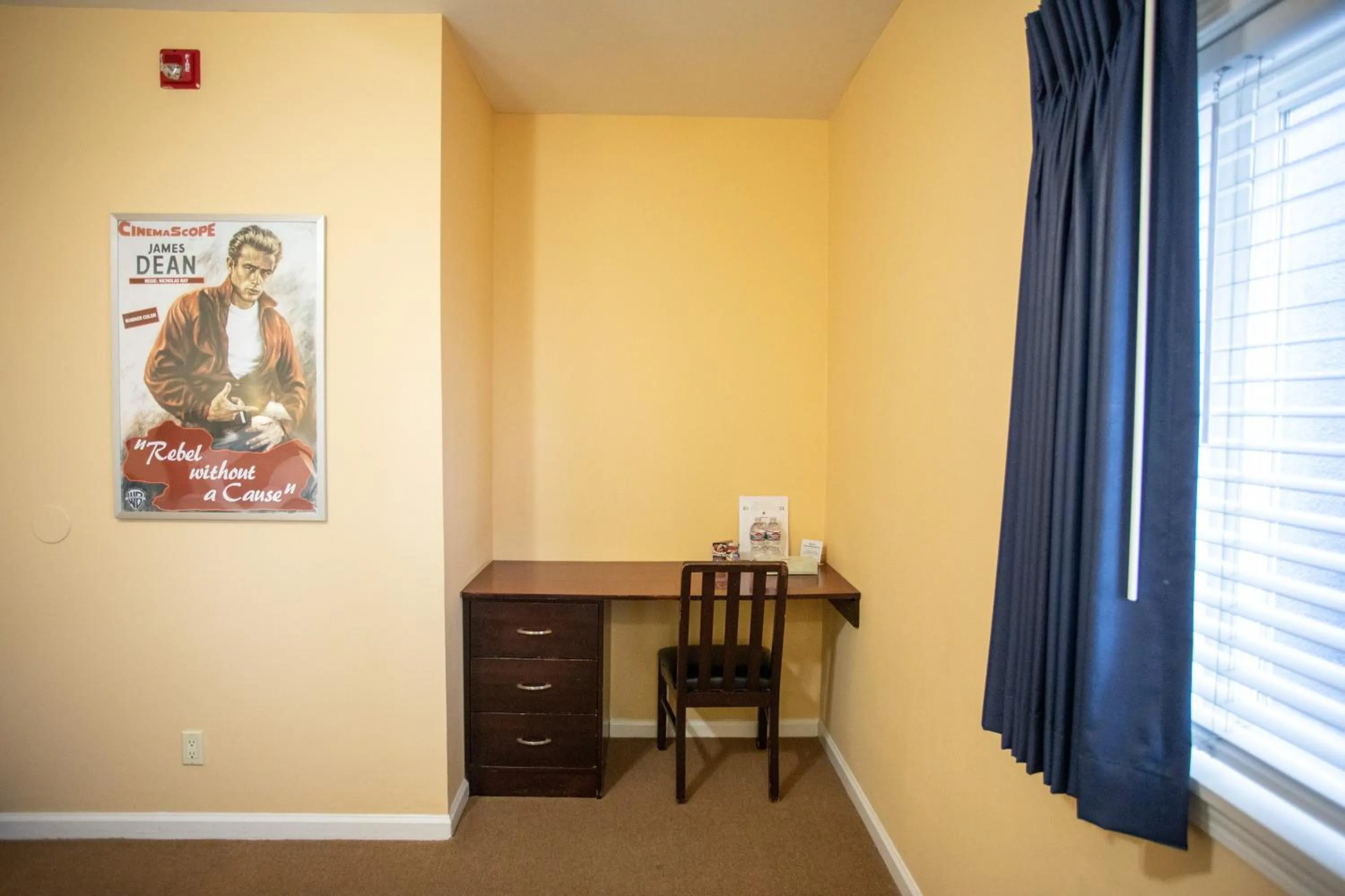 hair dresser in The Hotel Hollywood