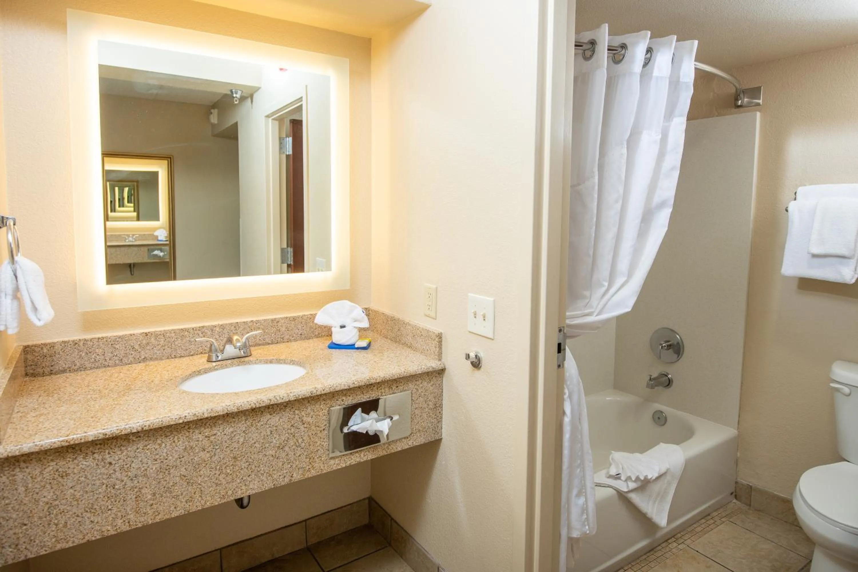 Bathroom in Grand Canyon Hotel & Suites