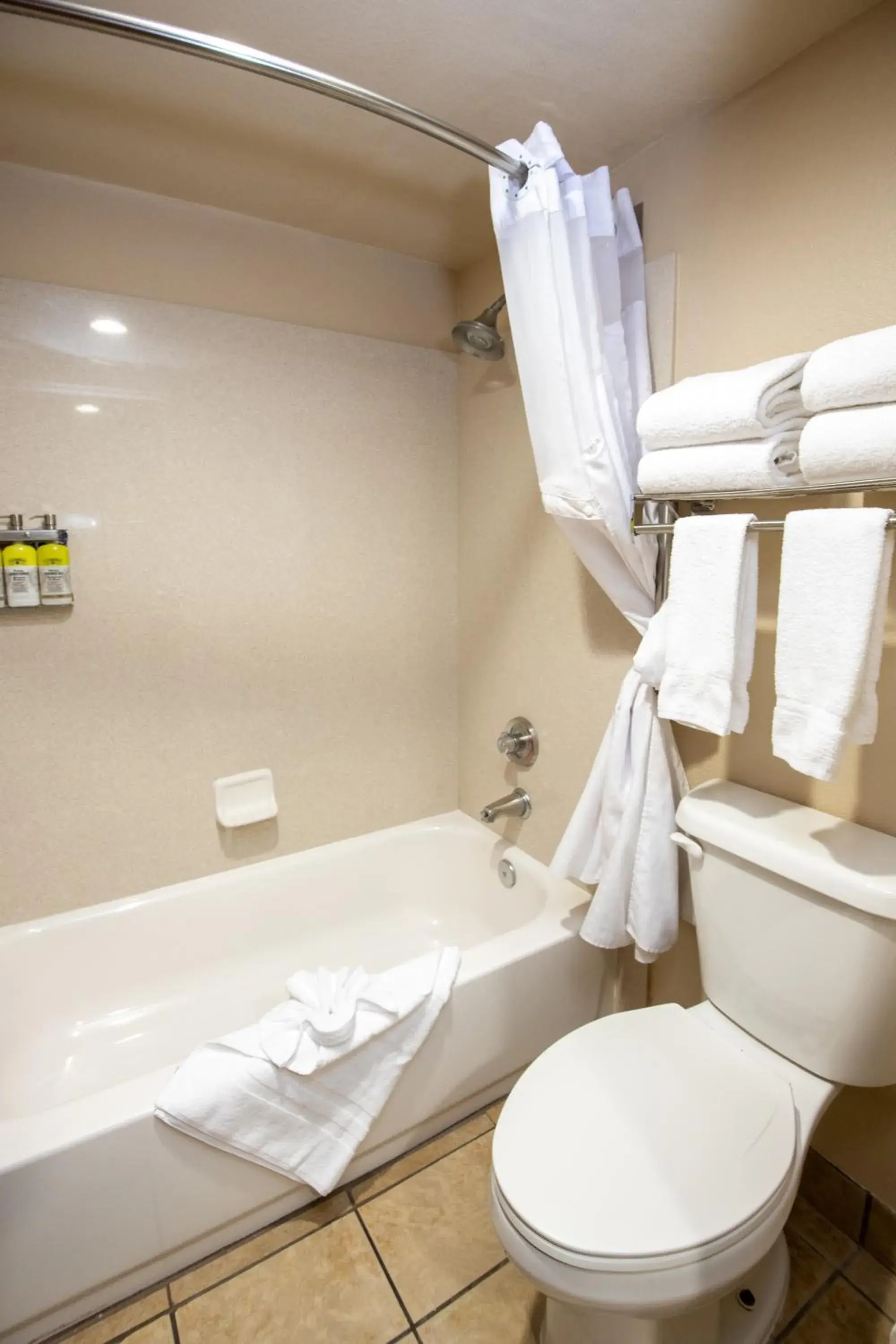 Standard Room with Two Queen Beds in Holiday Inn Express Grand Canyon, an IHG Hotel Standard Room with Two Queen Beds in Holiday Inn Express Grand Canyon, an IHG Hotel