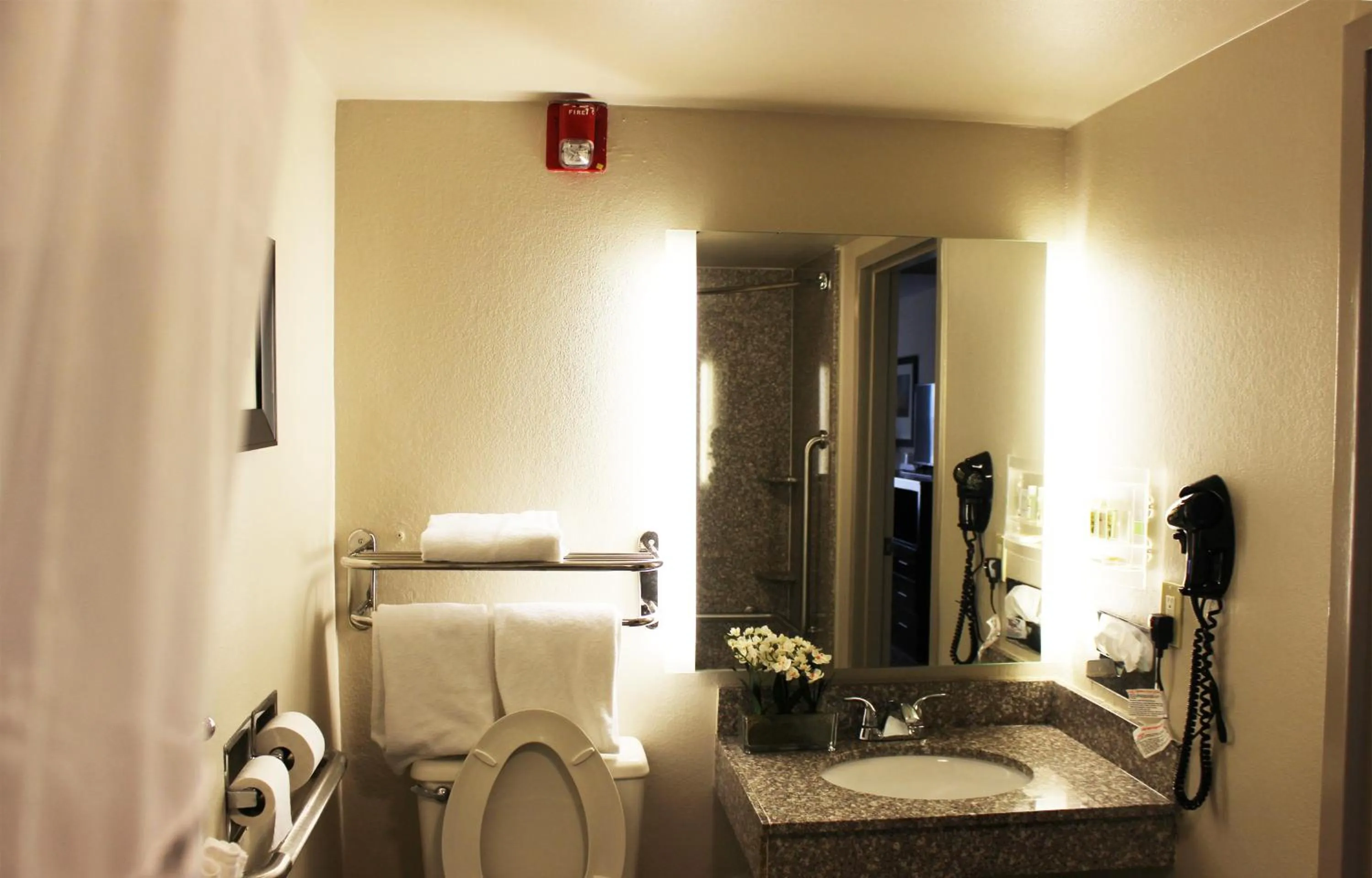 Bathroom in Holiday Inn Hotel Atlanta-Tucker, a Full Service Hotel