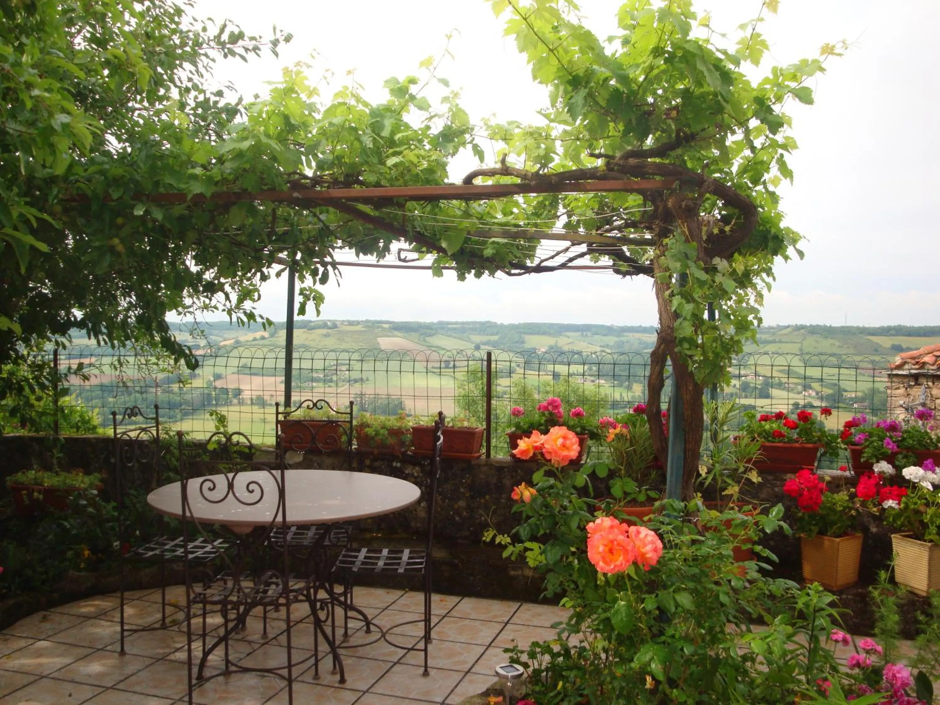 Garden view in D'Ici et D'Ailleurs