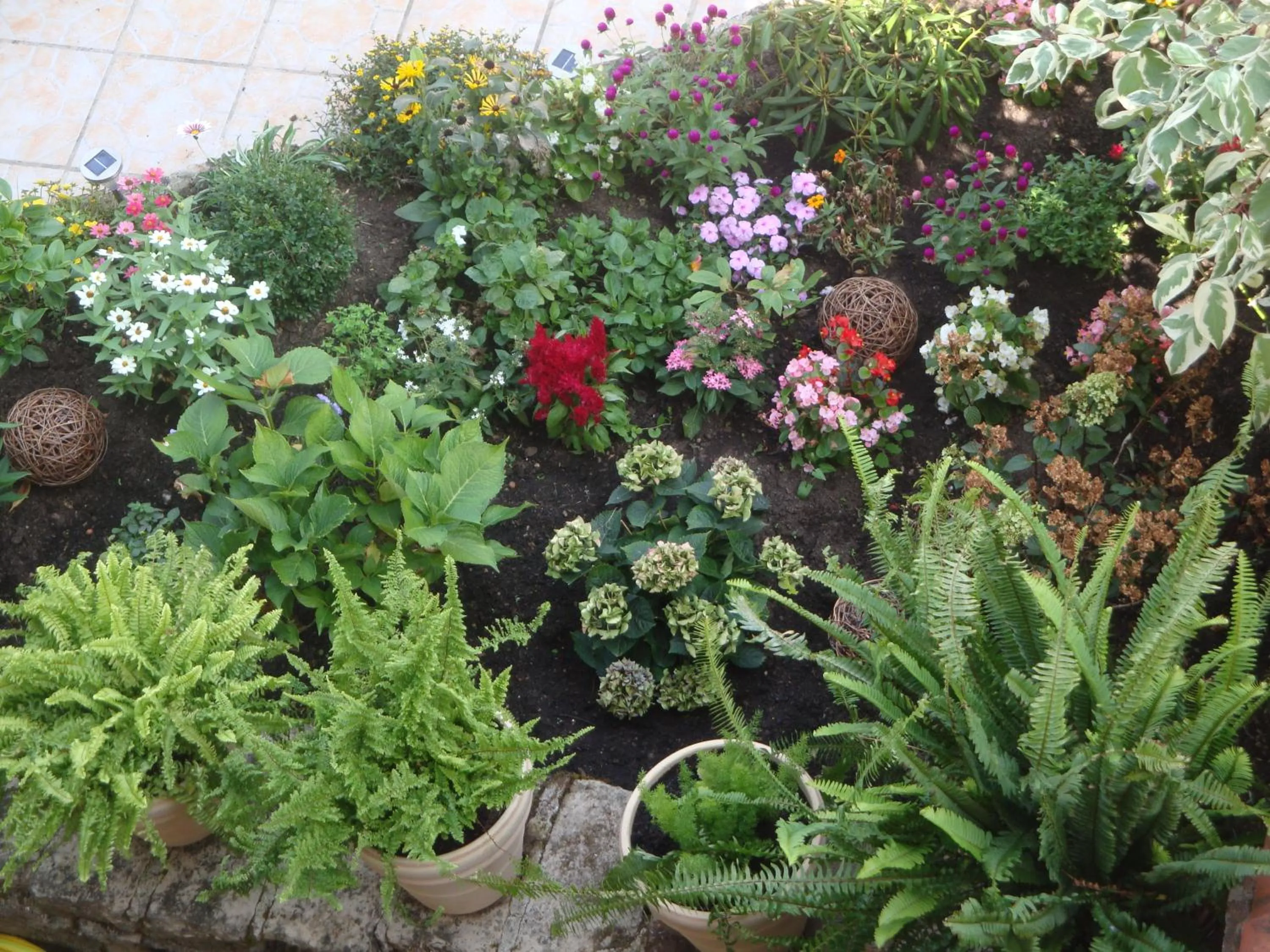 Decorative detail in D'Ici et D'Ailleurs