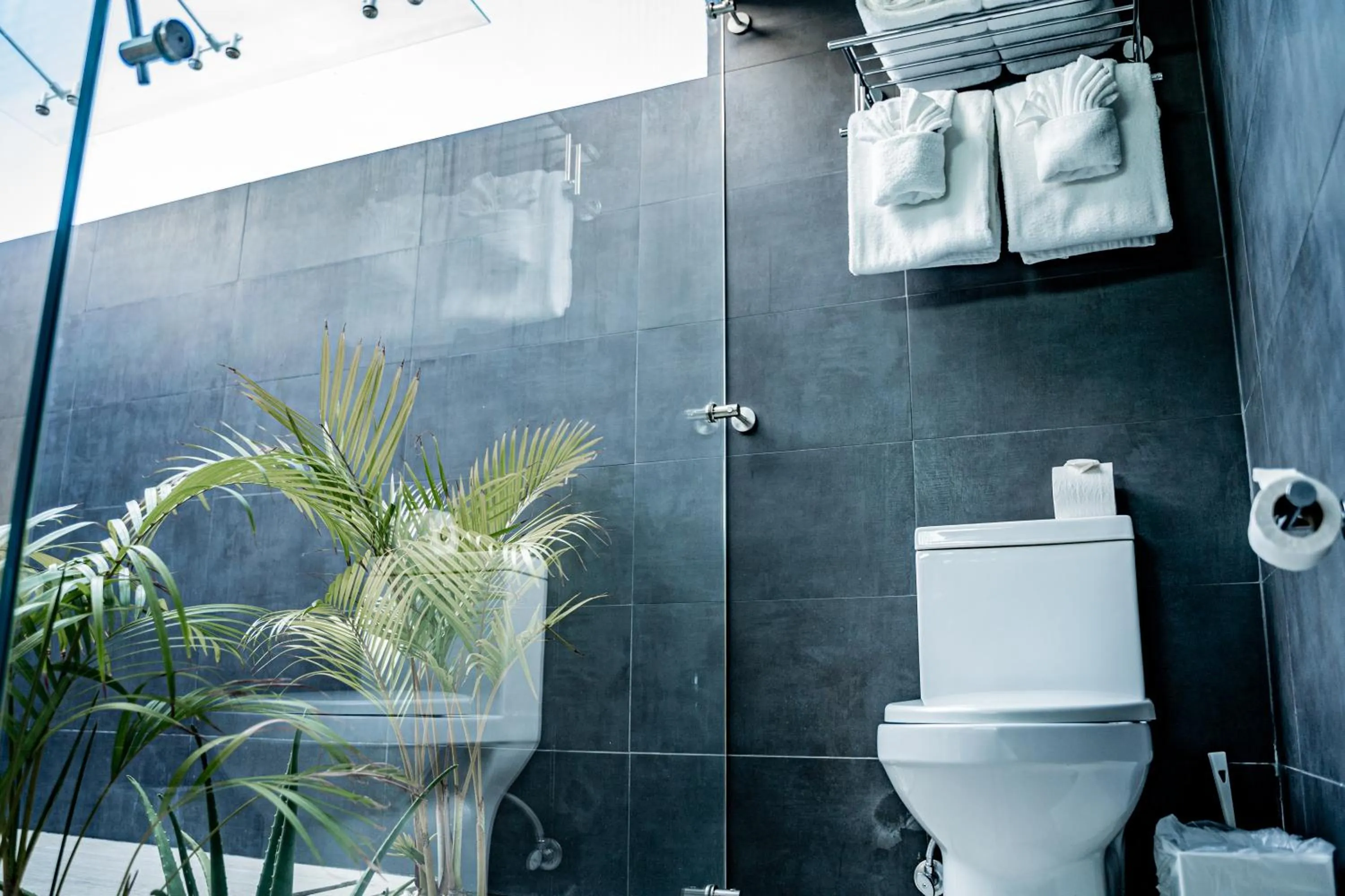 Shower in Ocean Z Boutique Hotel