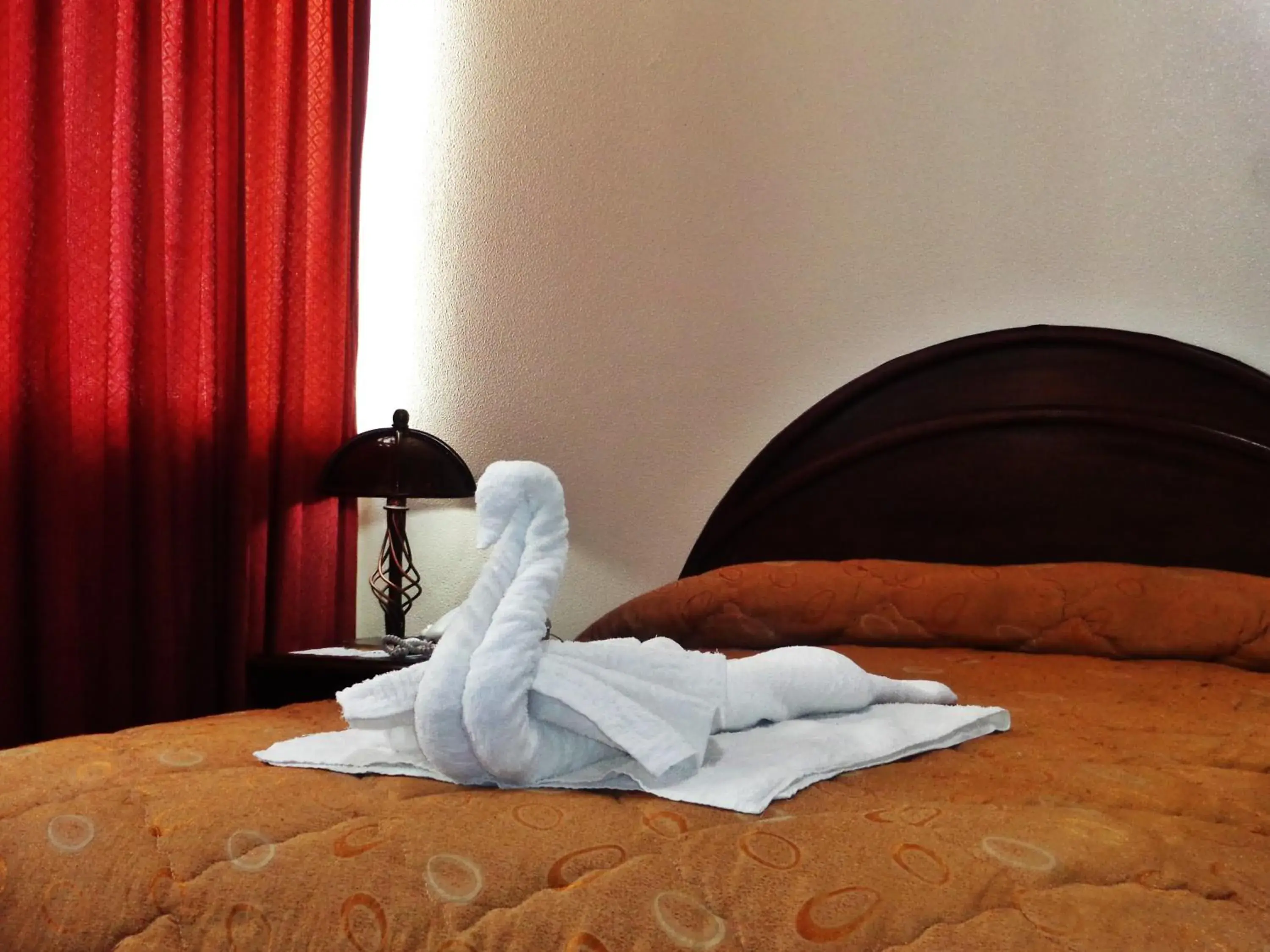 Standard Single Room - single occupancy in Hotel Alexander Standard Single Room - single occupancy in Hotel Alexander