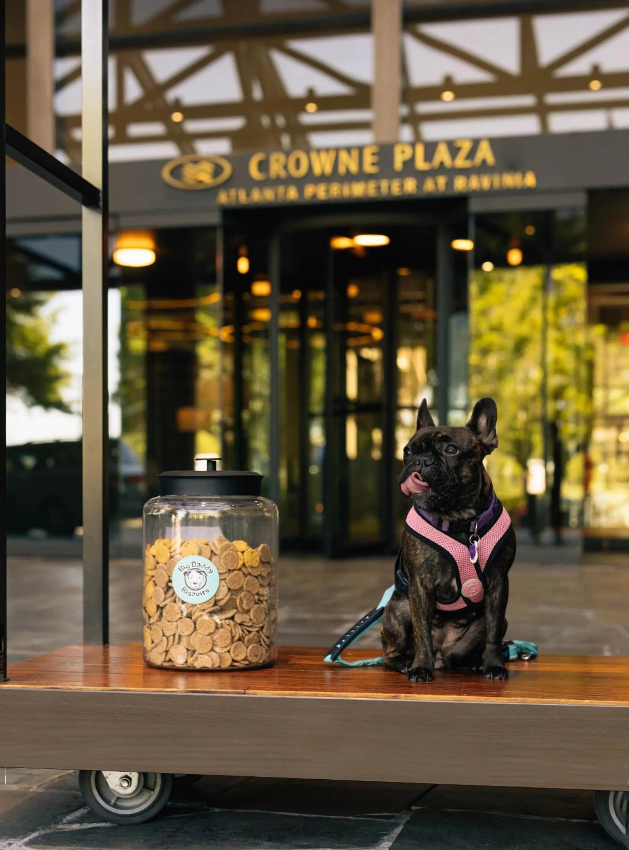 Decorative detail in Crowne Plaza Atlanta Perimeter at Ravinia by IHG