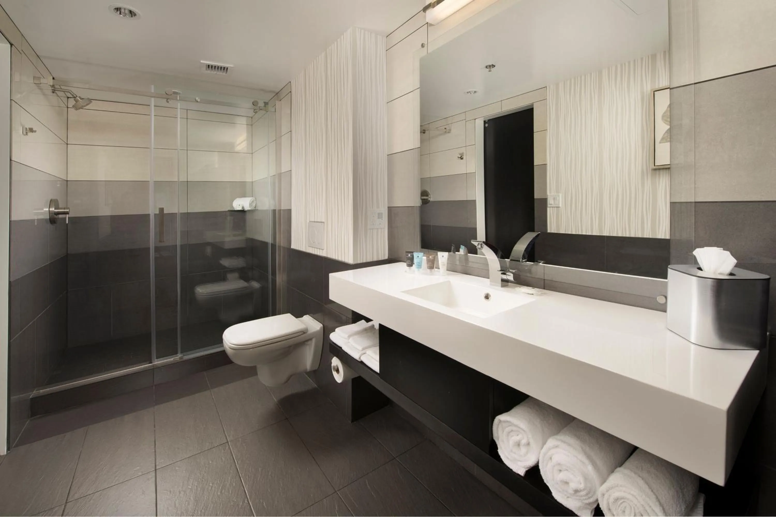 Bathroom in Skybridge Seattle Airport Hotel