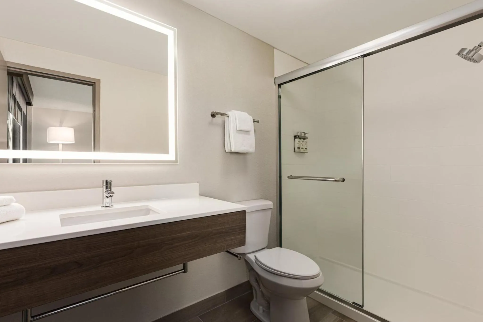 Bathroom in Holiday Inn Express Baltimore at the Stadiums by IHG