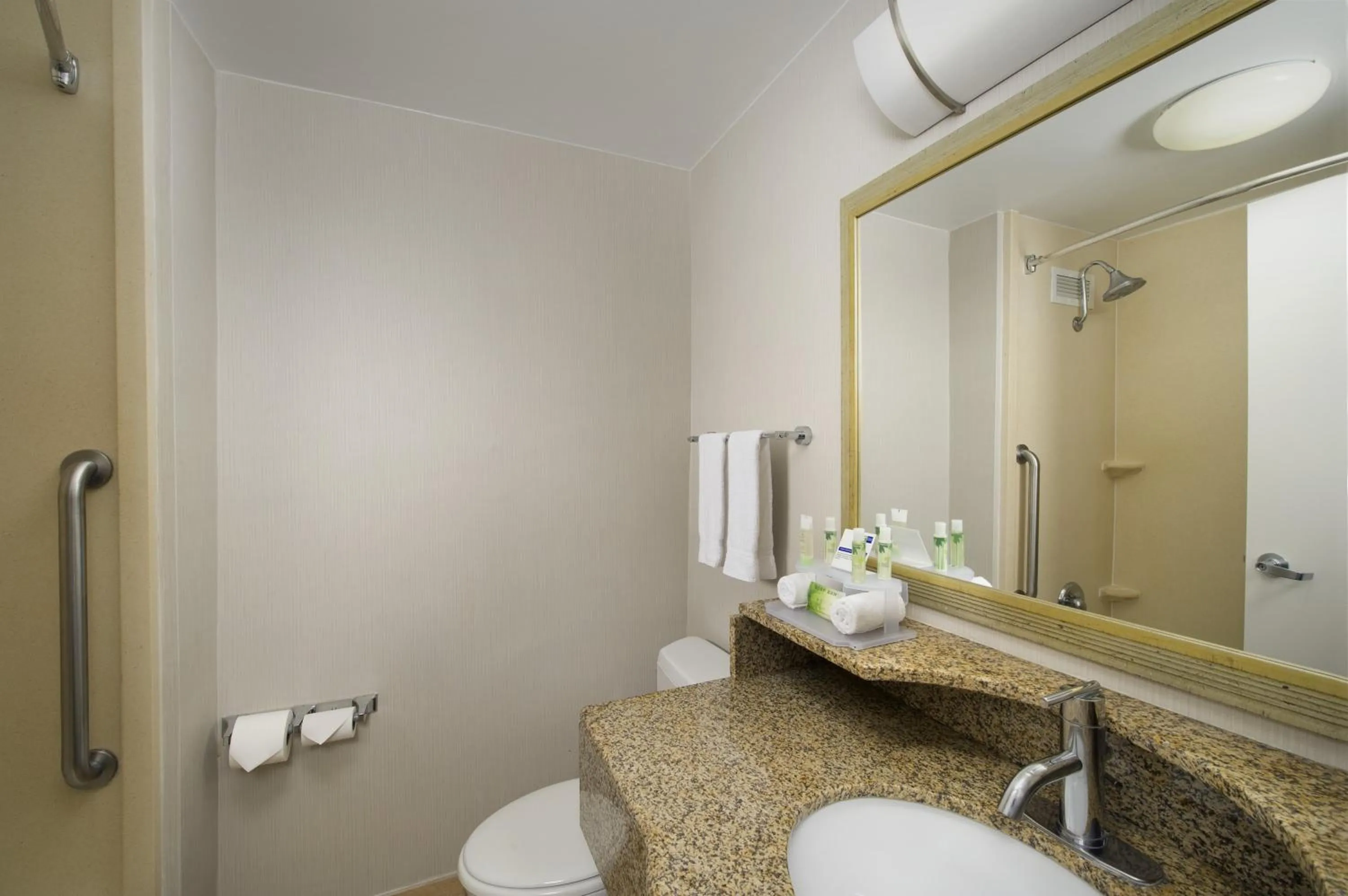 Bathroom in Holiday Inn Express Baltimore at the Stadiums by IHG