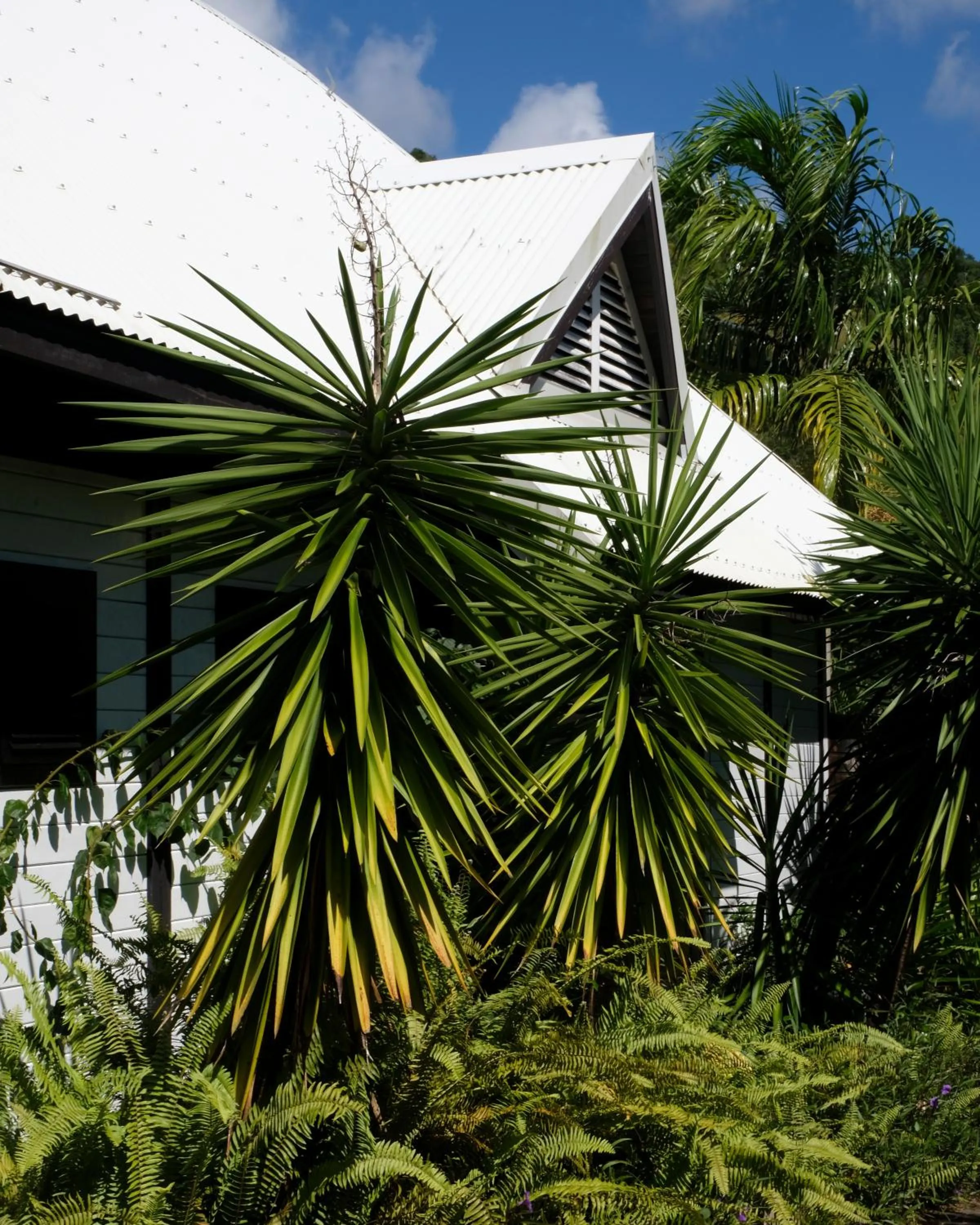 Garden in Domaine de la Palmeraie - Villas Lodge