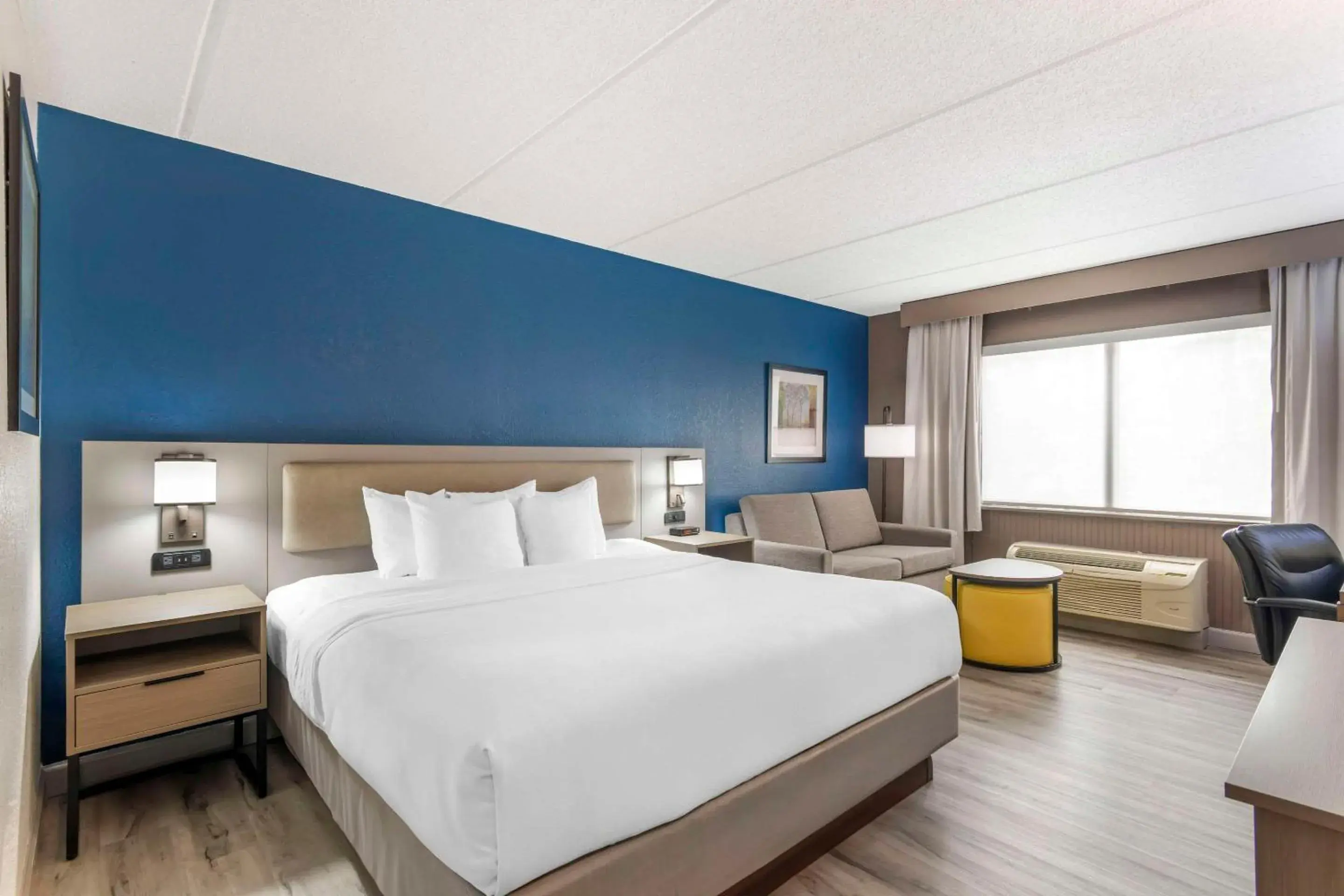 King Room - Non-Smoking in Comfort Inn Alpharetta-Atlanta North King Room - Non-Smoking in Comfort Inn Alpharetta-Atlanta North