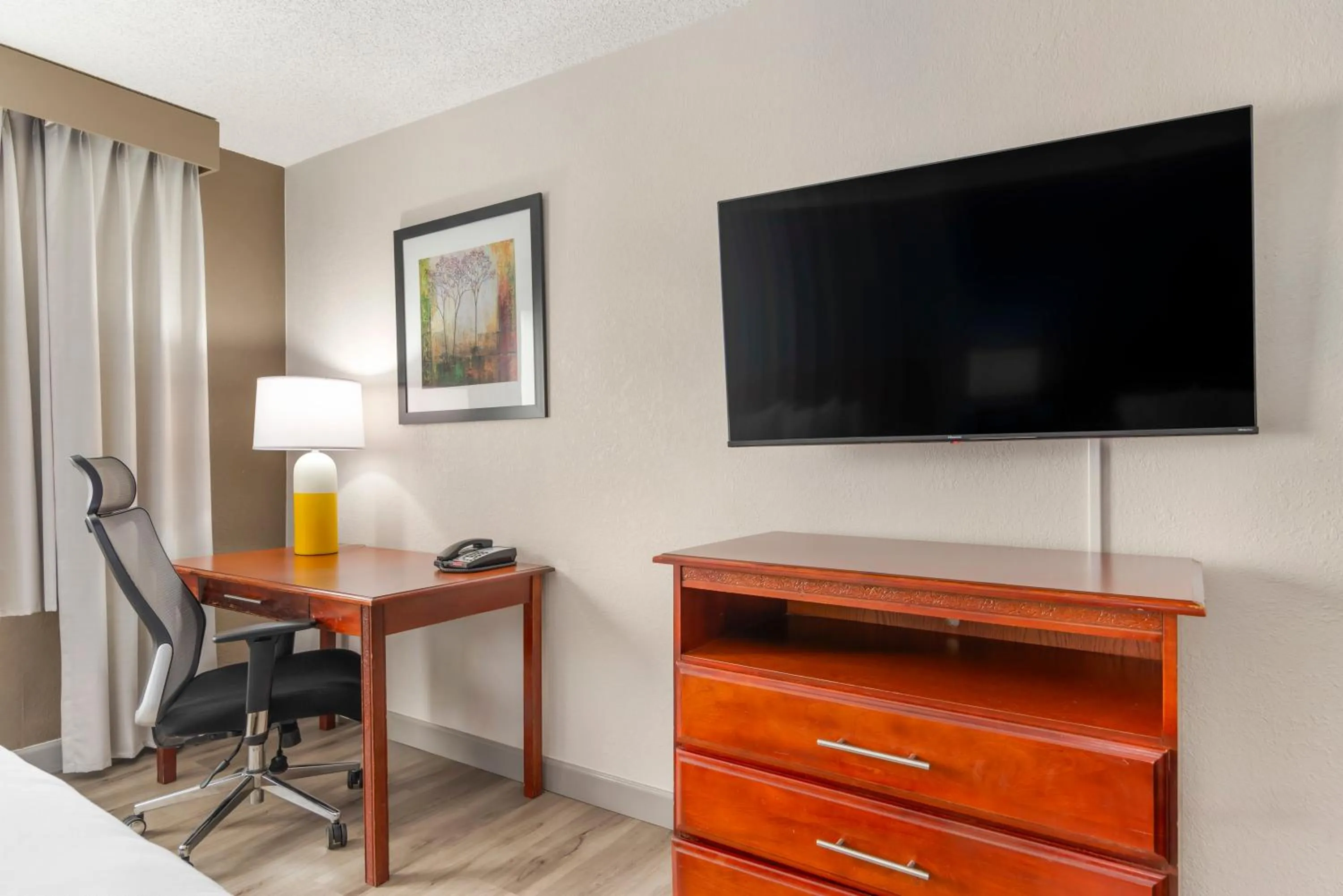 TV and multimedia in Comfort Inn Alpharetta-Atlanta North