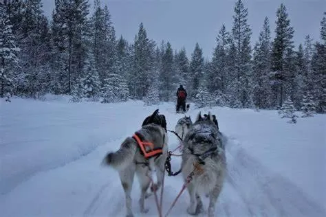 Activities in Le Chalet Du Blanc Spa yoga