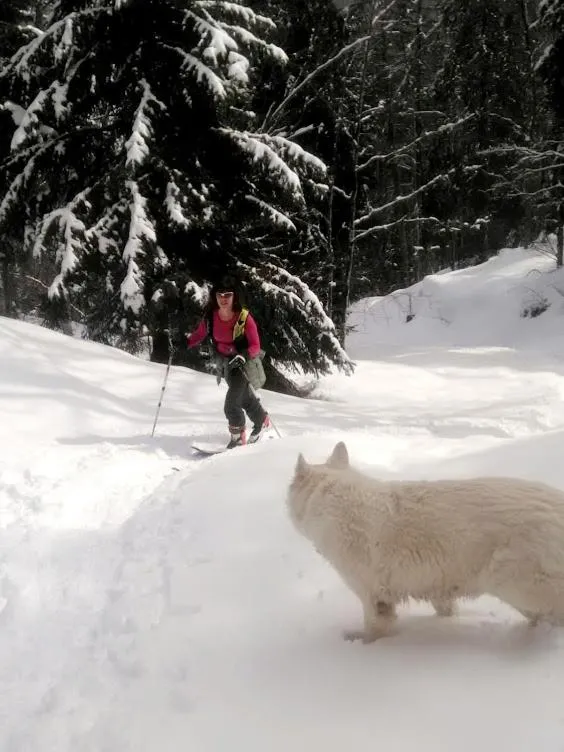 Activities in Le Chalet Du Blanc Spa yoga