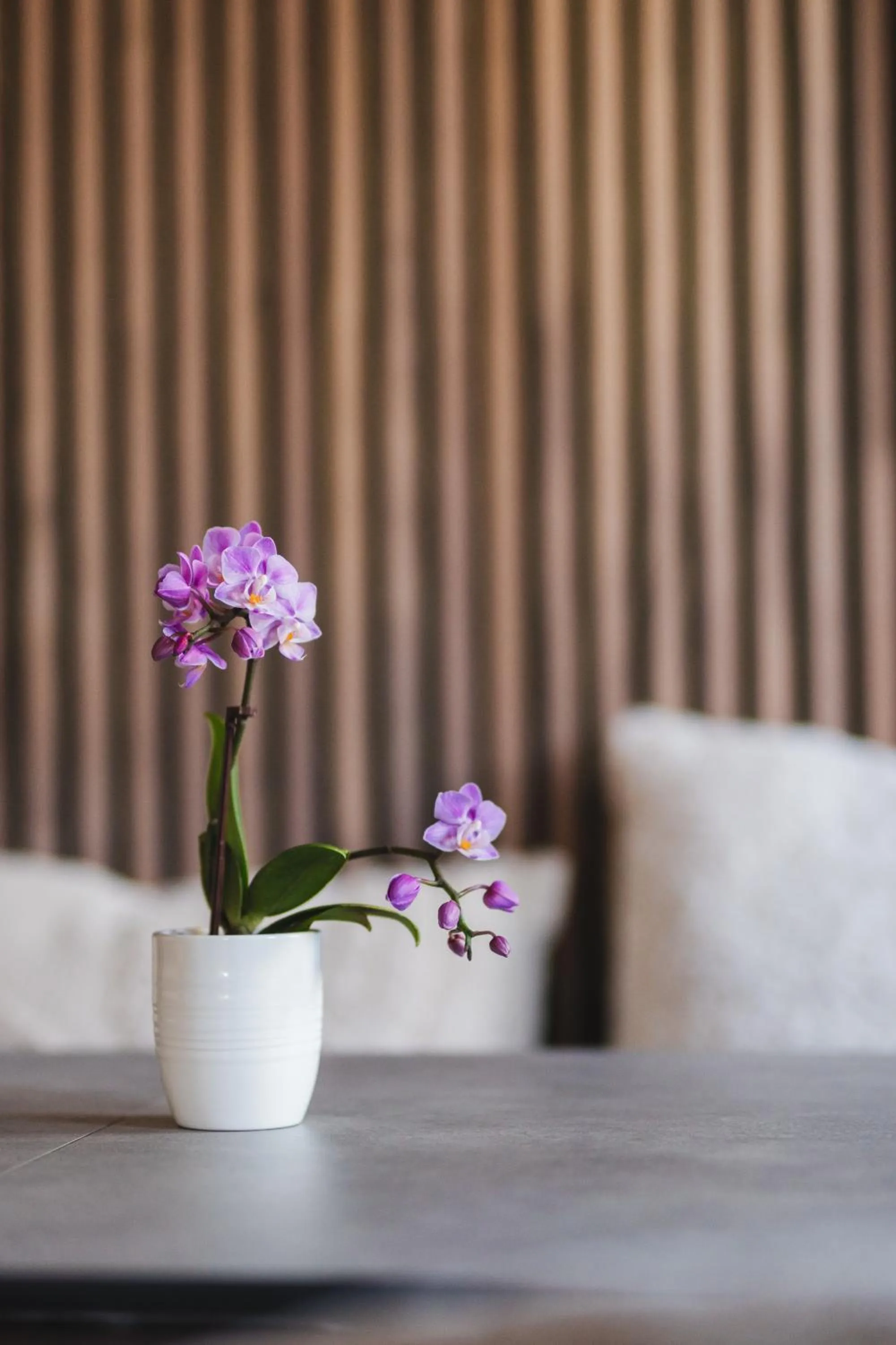 Bed in Sure Hotel by Best Western Stanga