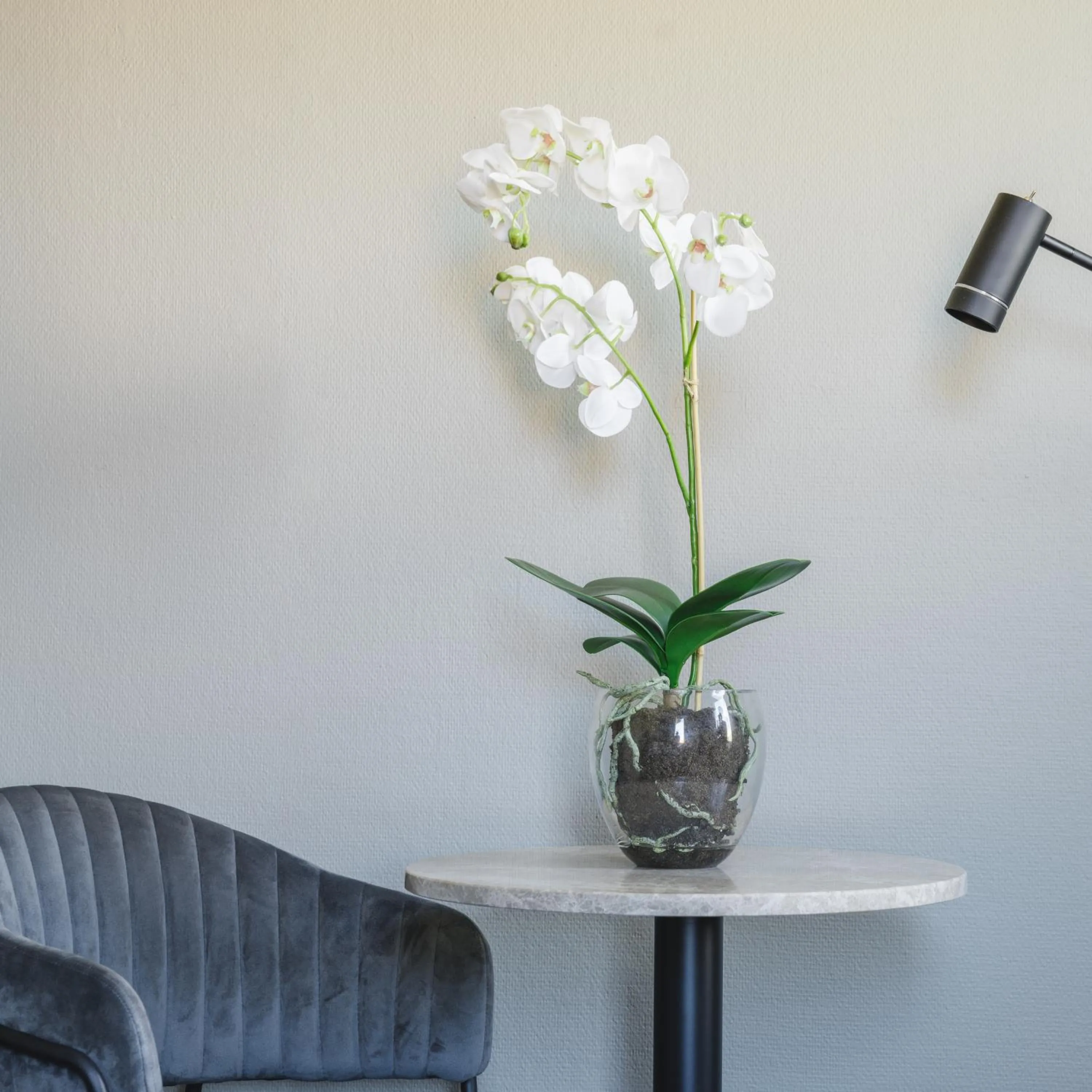 Sure Hotel by Best Western Stanga