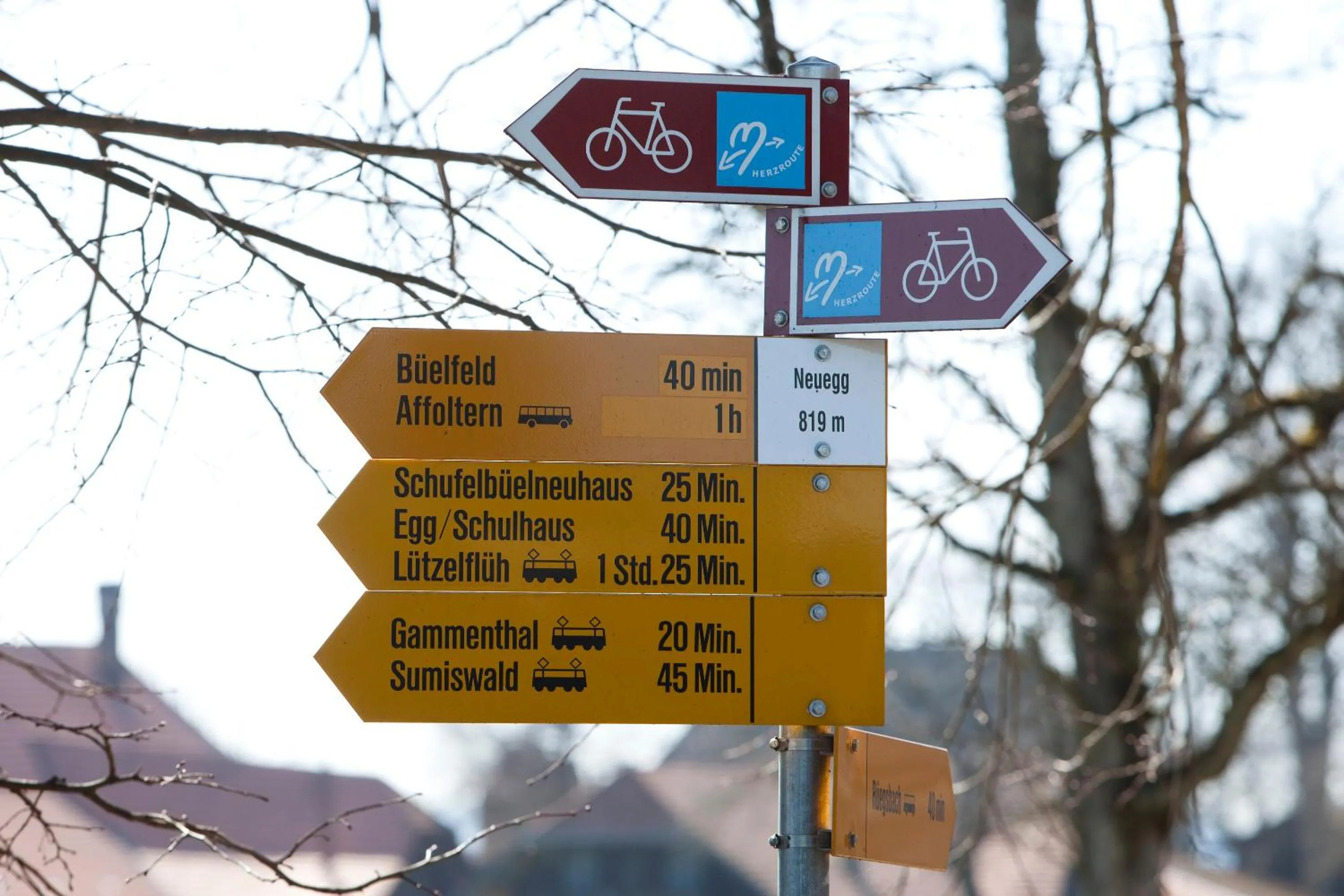 Horse-riding in Landgasthof und Seminarhotel Lueg