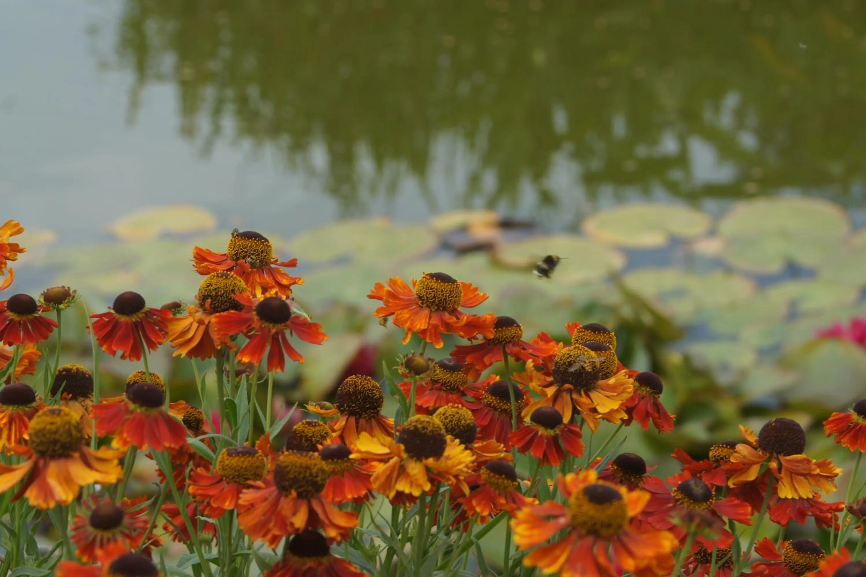 Garden view in Chambre D'hotes Le Clos Fleuri