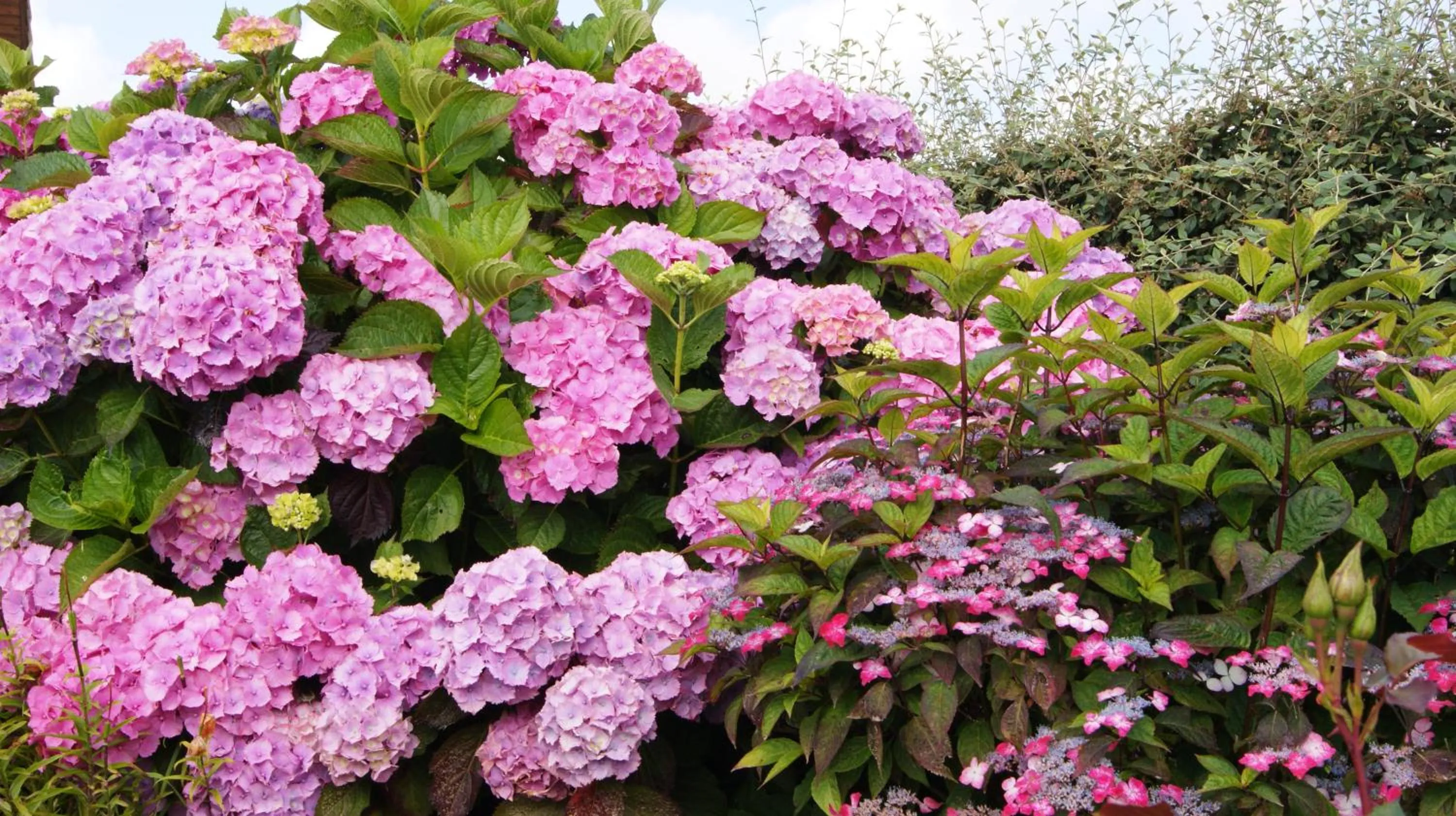 Garden view in Chambre D'hotes Le Clos Fleuri