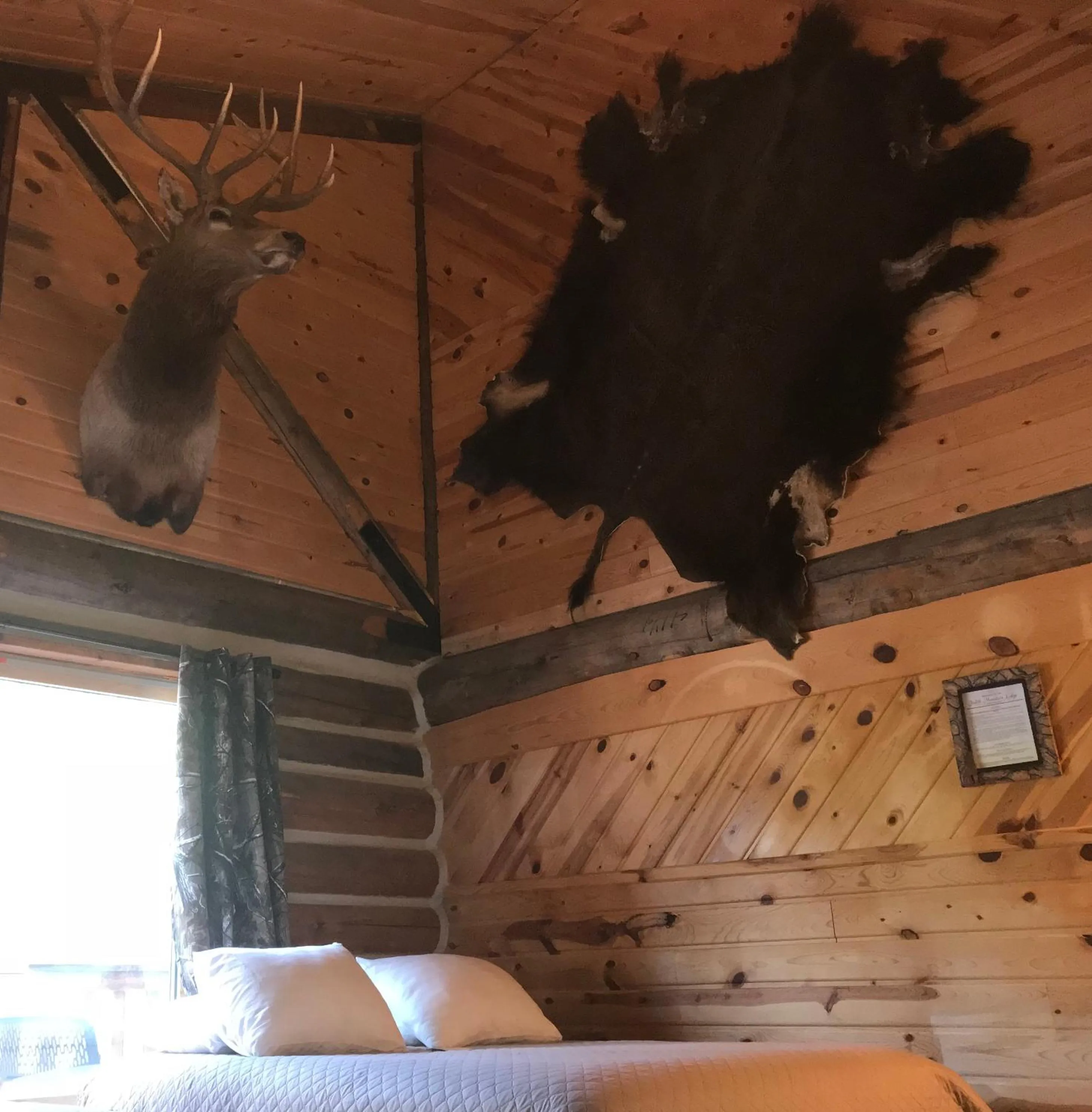 Judith Mountain Lodge