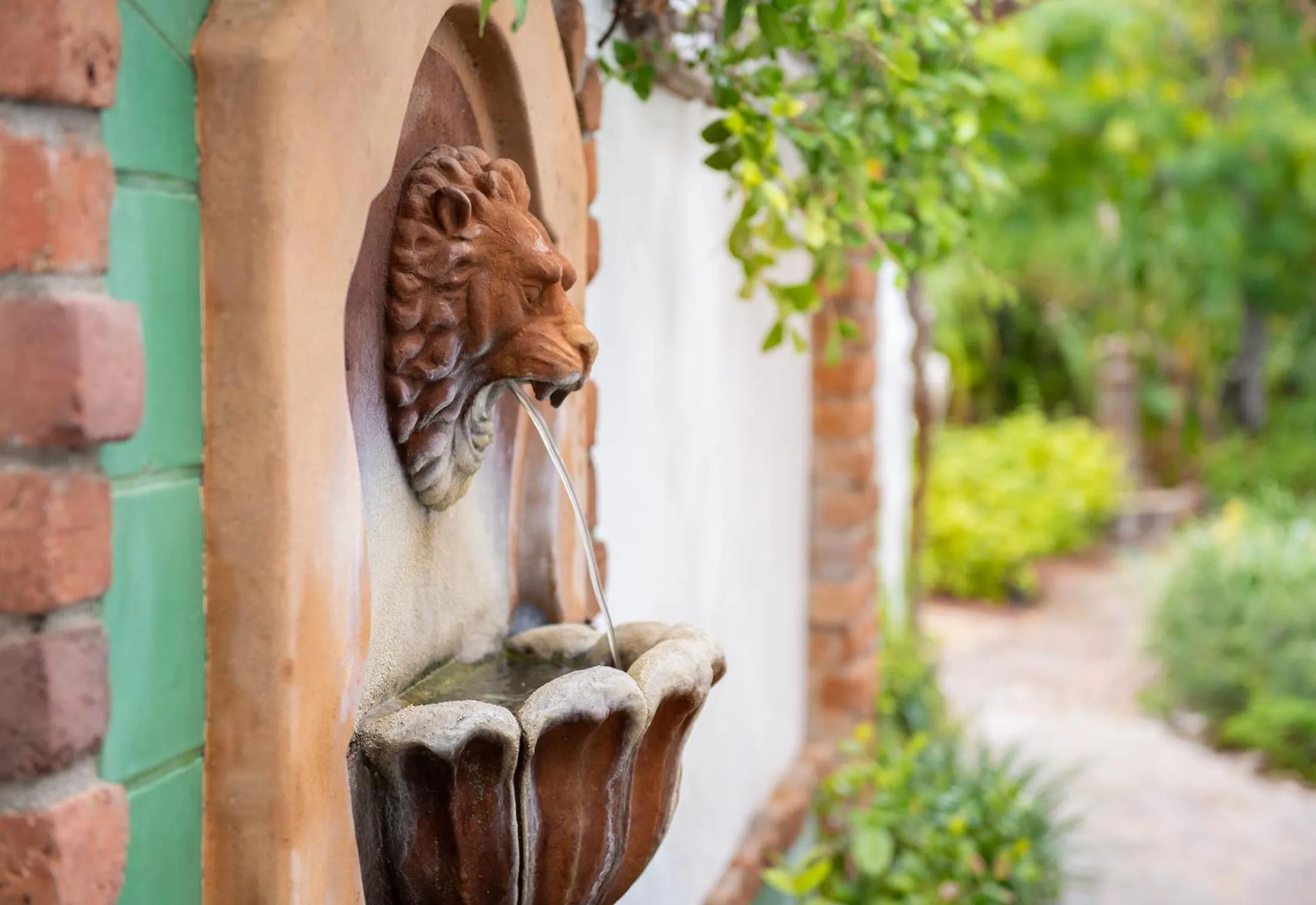 Garden in Lucille Palm Springs
