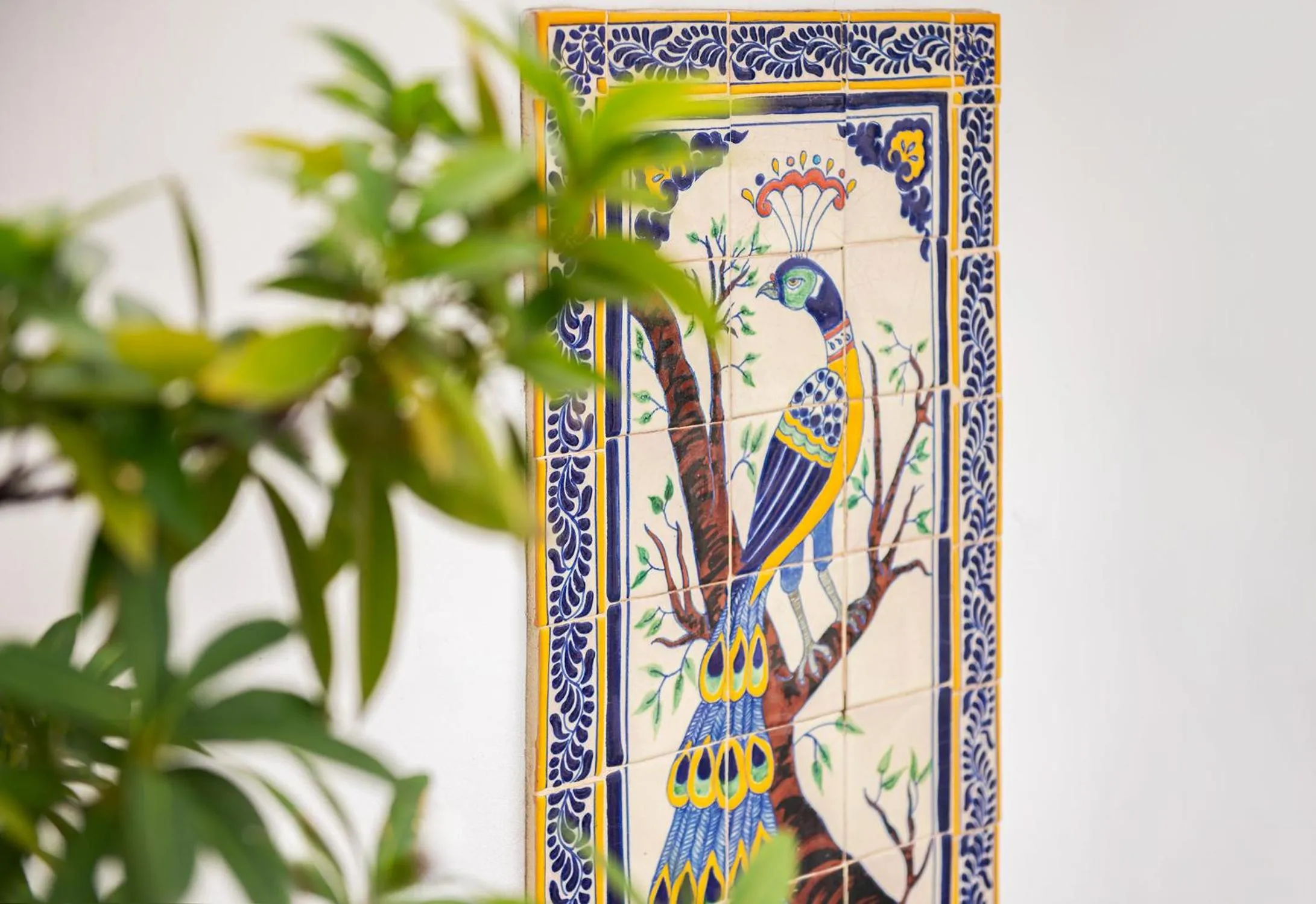 Garden in Lucille Palm Springs