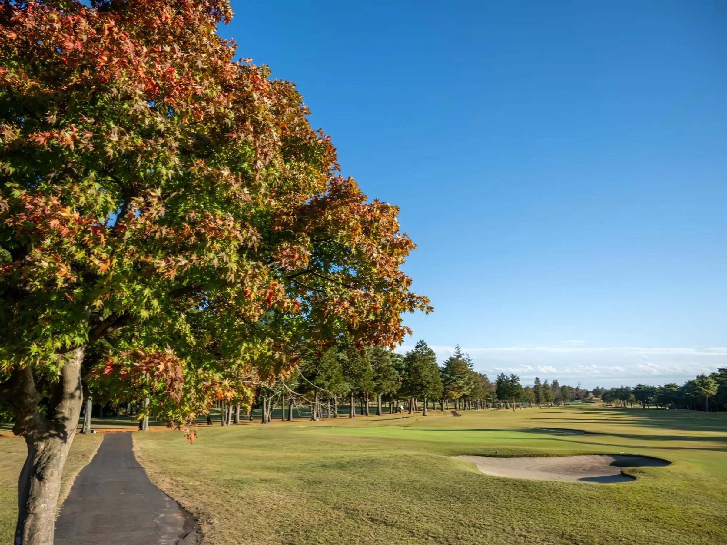 Property building in Wellness Forest Nasu