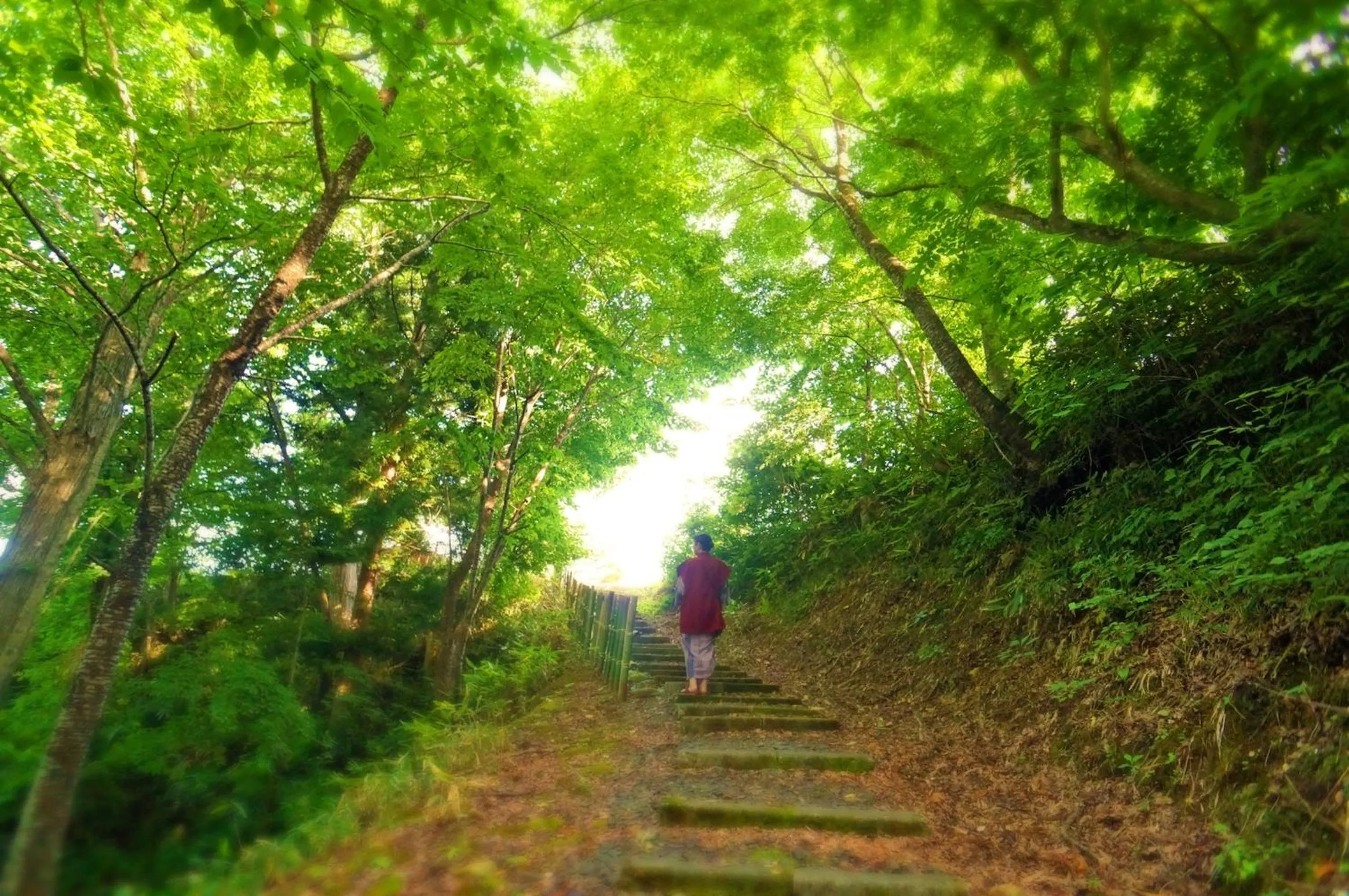 Property building in Sannouzan Onsen Zuisenkyo