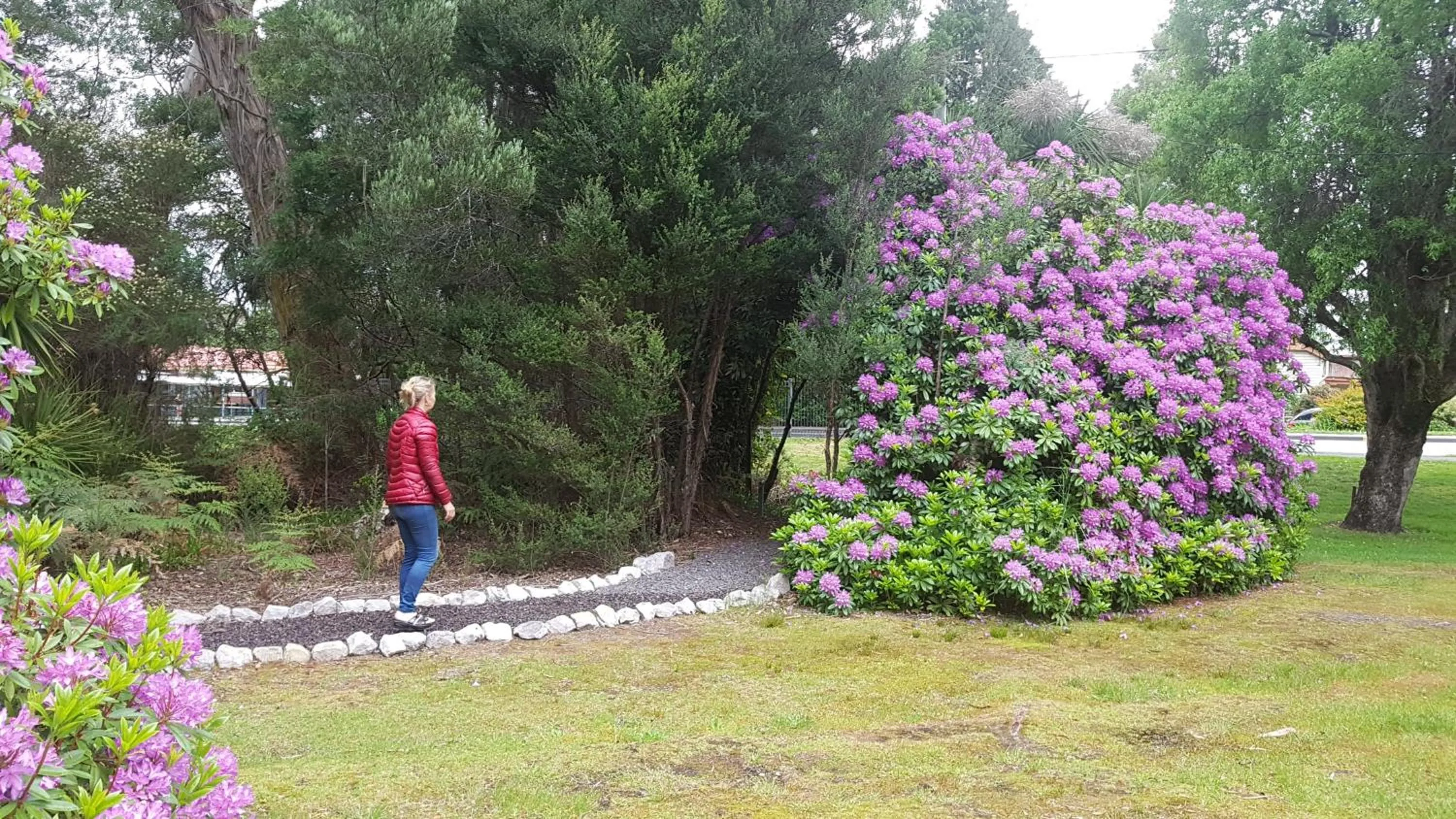 Garden in BIG4 Strahan Holiday Retreat